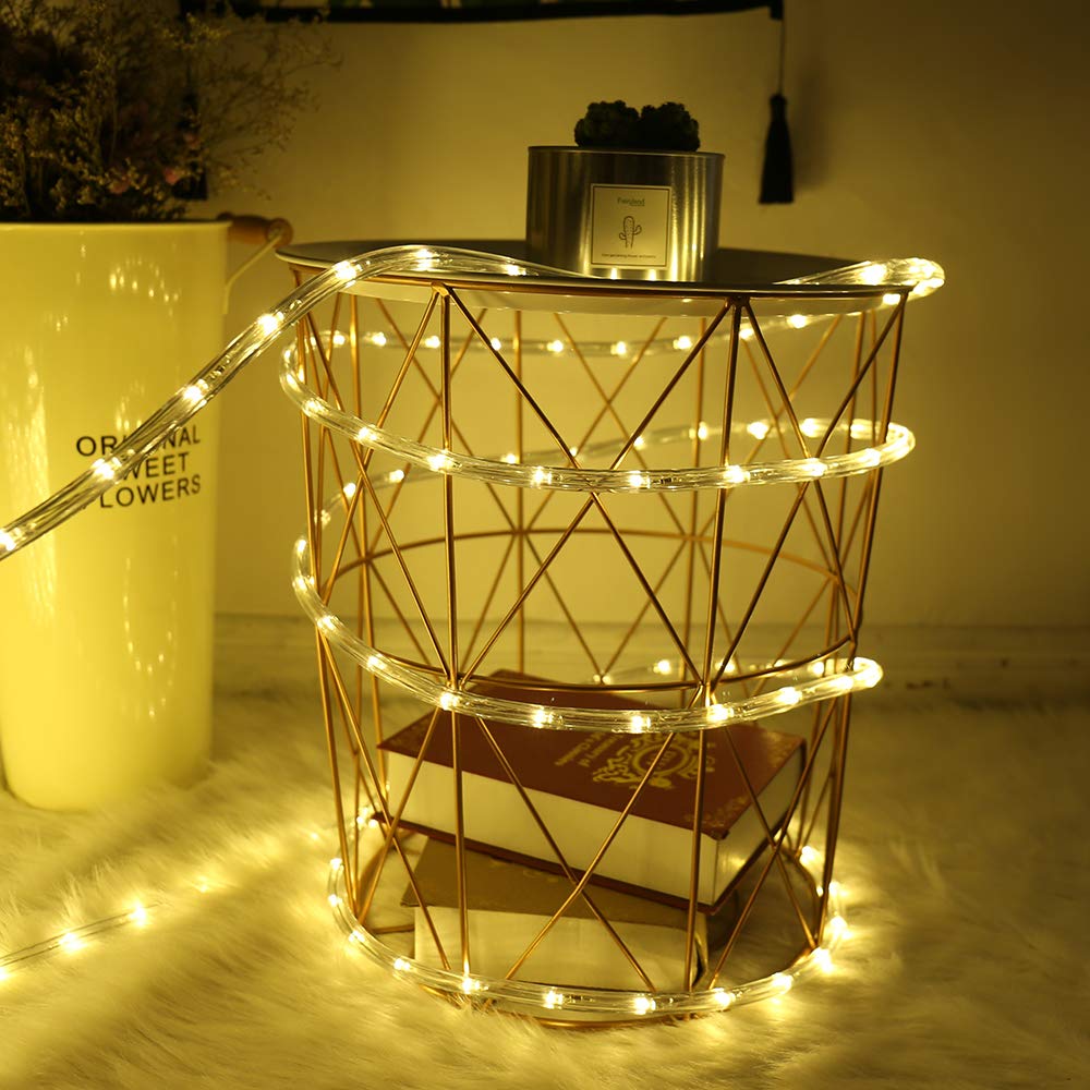HuiZhen 100 Feet 720 LED Rope Lights,2-Wire Low Voltage Waterproof Rope Lights Outdoor,Indoor Background Lighting Idear for Tree