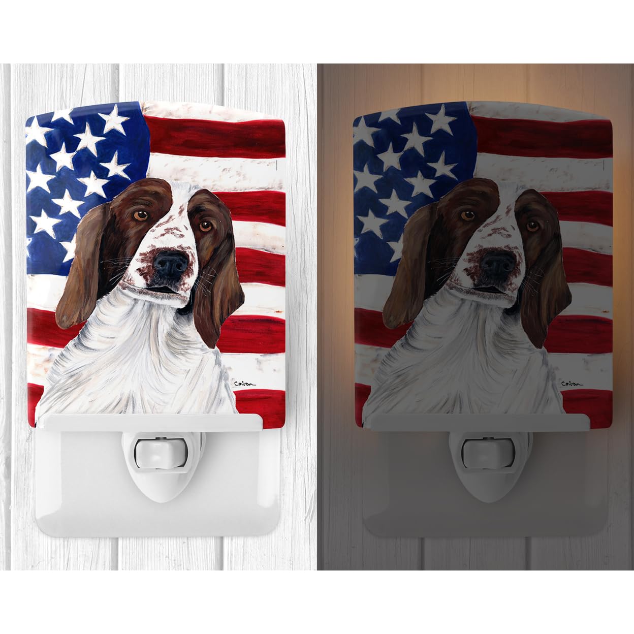 Carolines Treasures Ceramic Night Light, USA Flag & Welsh Springer Spaniel, 6x4x3 inches, Model SC9024CNL, Multicolor
