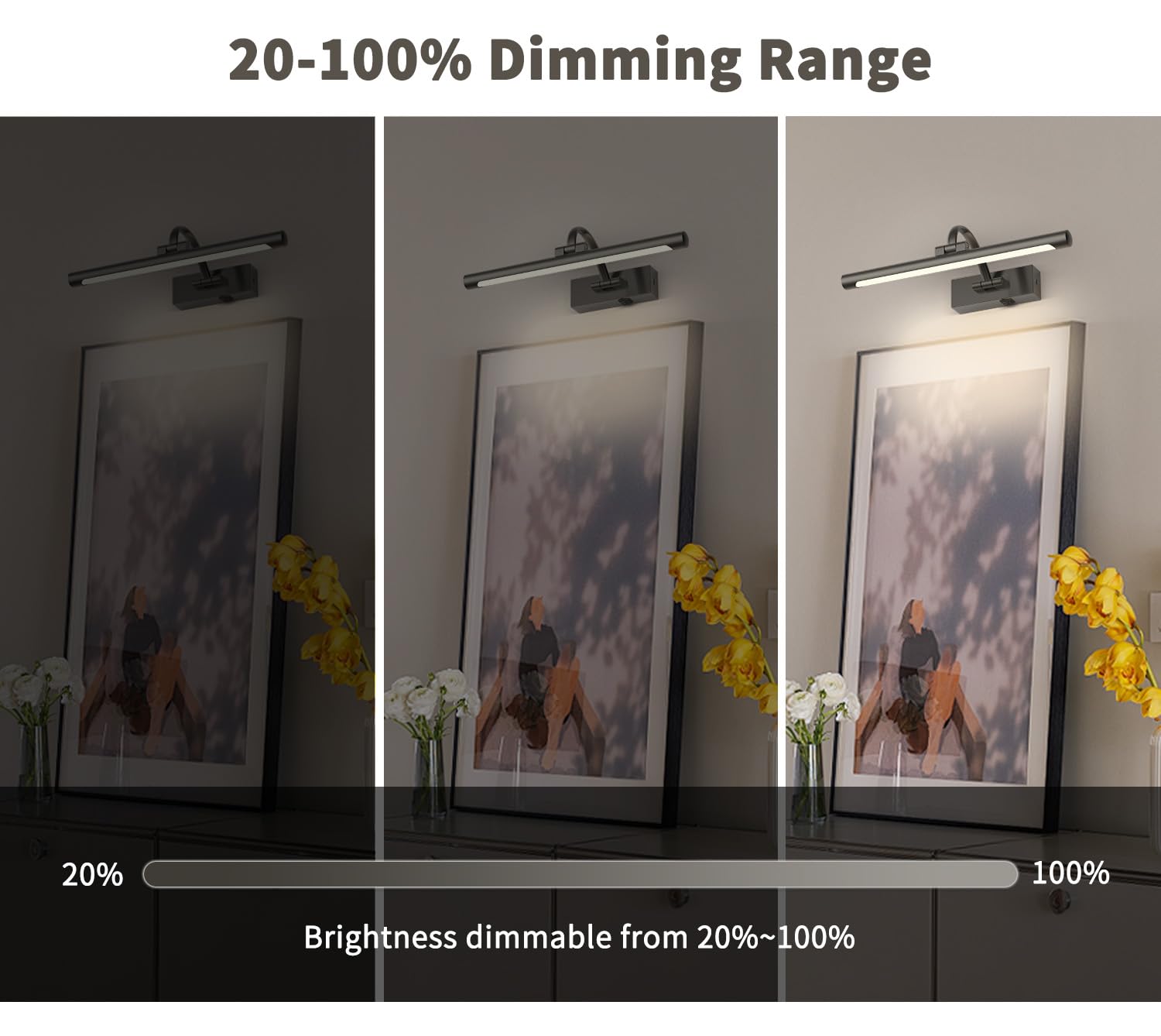 Desoop Battery Operated Picture Lights For Wall, Wireless Painting Lights Dimmable Artwork Lighting With Remote And Timer, Recha