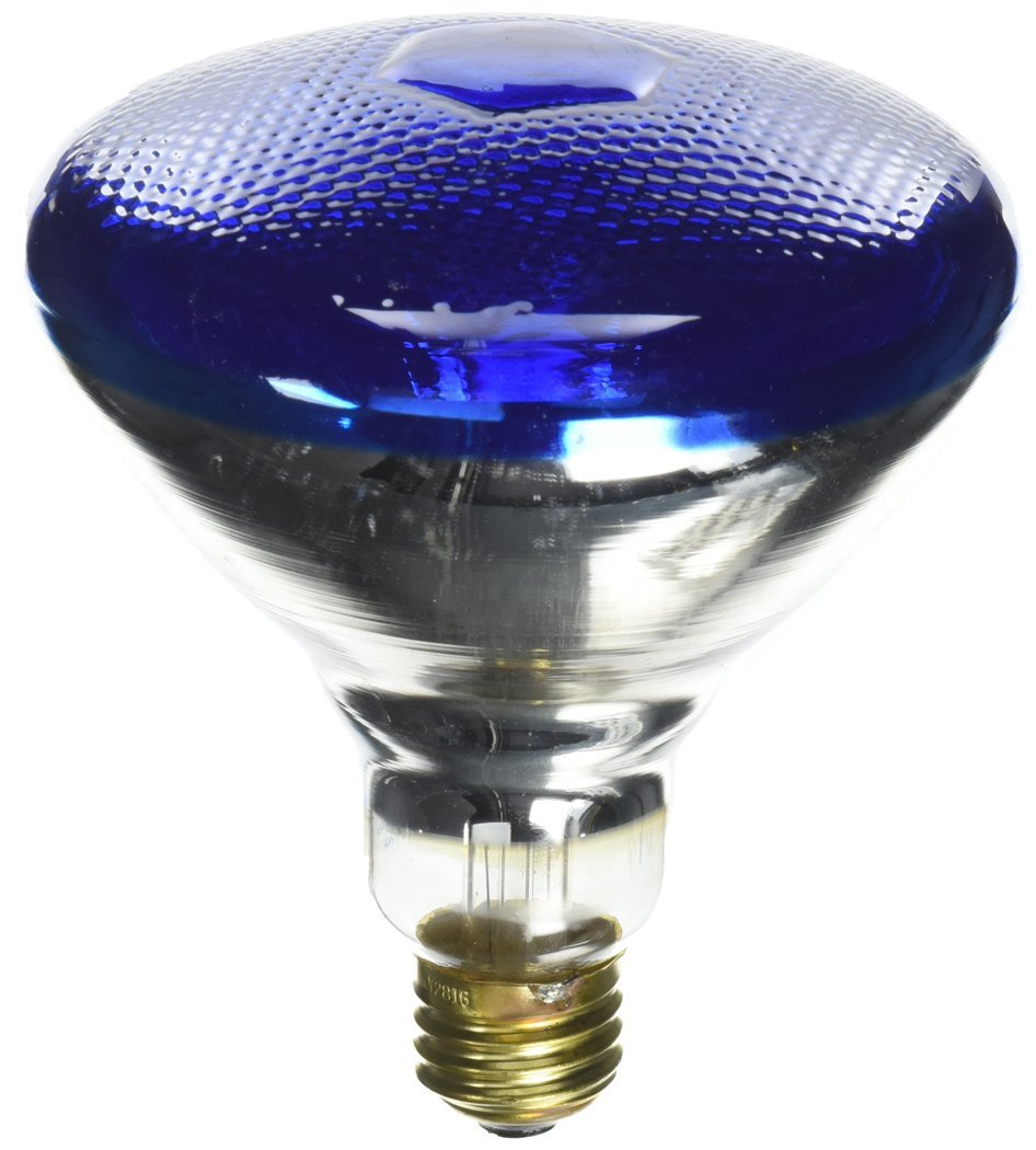 Westinghouse BR38 Incandescent Light Bulb, 100 Watt, 120 Volt, Blue, Model 0441400, 1 Count