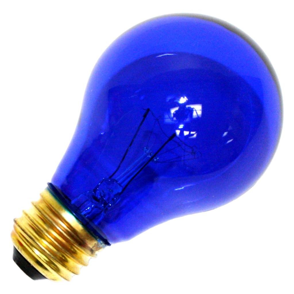 LEDVANCE I00049507 11710 25A1Tb/Rp 125V Standard Transparent Colored Light Bulb Blue