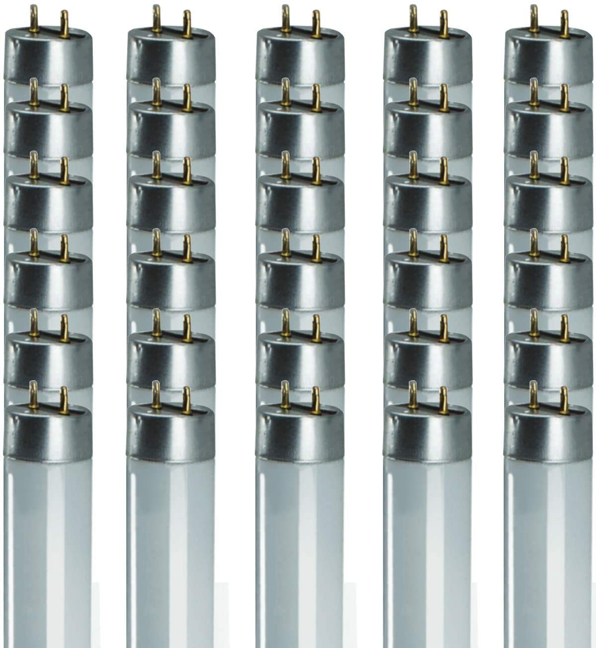 Goodbulb 25W 48 Inch T8 Fluorescent Light Bulb | 5000K Daylight Medium Bi-Pin Base | 2500 Lumens 85 Cri 36000 Life Hours | Car Dealership Lighting | 30 Pack