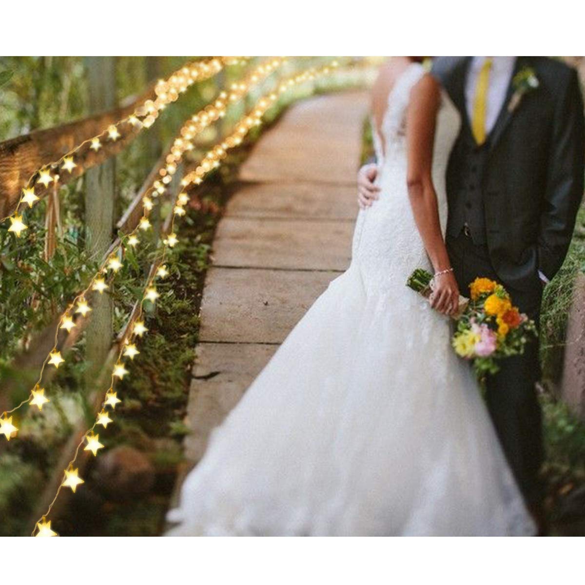 Homeleo Star Fairy Lights, 50 LED Warm White String Lights, Battery Powered, Remote Control, Model HLD361, Copper Material