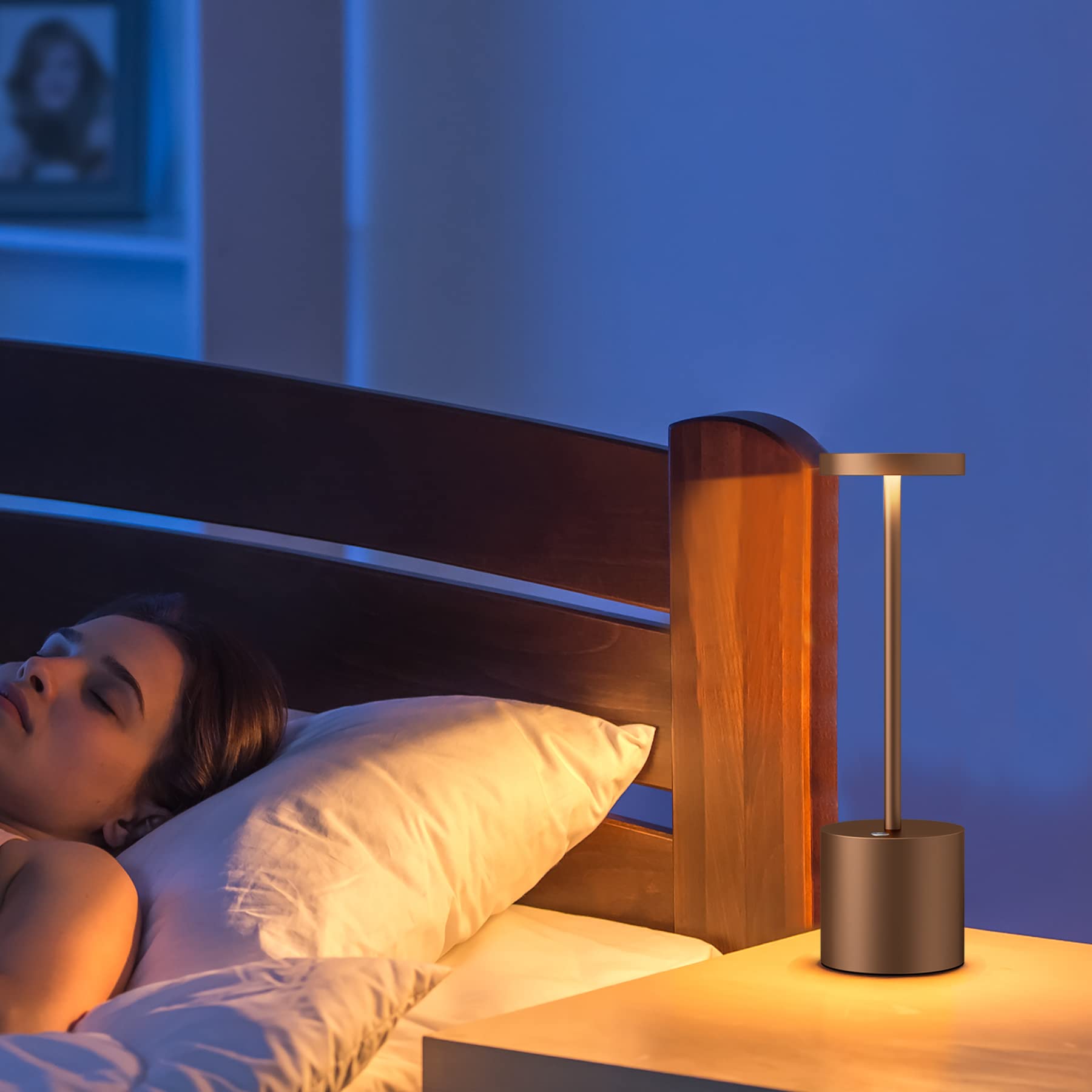TBBGA 2 Pack Cordless Table Lamps, 5000mAh Rechargeable, Dimmable LED Desk Lamp, Metal, Brown, Model Q001