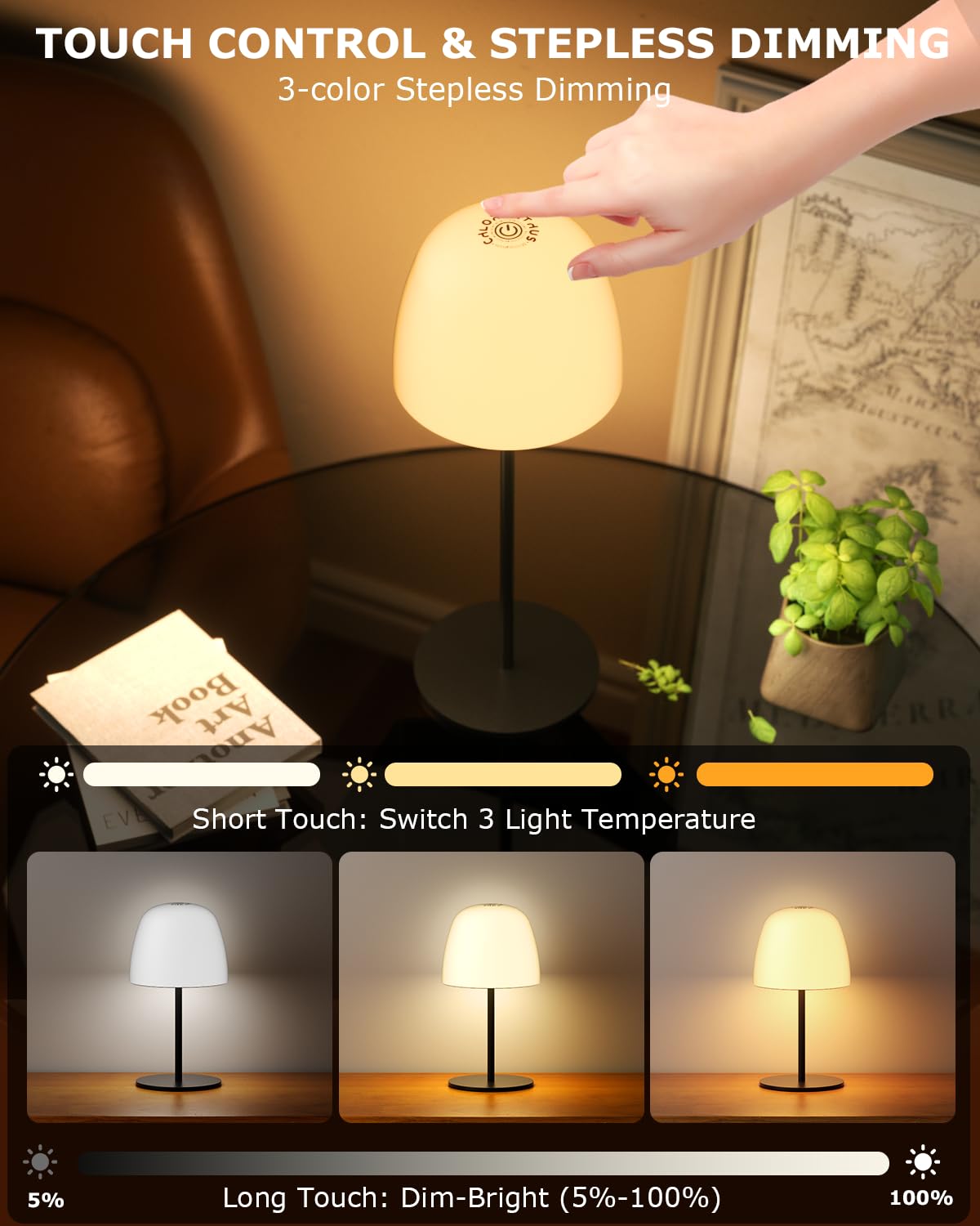 Chloranthus Portable Cordless Table Lamp, 3 Color Stepless Dimming 5500Mah Rechargeable Battery Operated Led Desk Lamp, For Bedr
