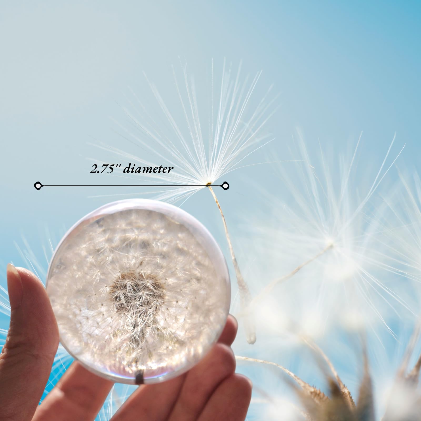 Pletmin Dandelion Ball Night Light, 2.76 Inch Ball Night Lamp With Wooden Base, Fall Decorations For Home Gift For Dad, Mom,Teac