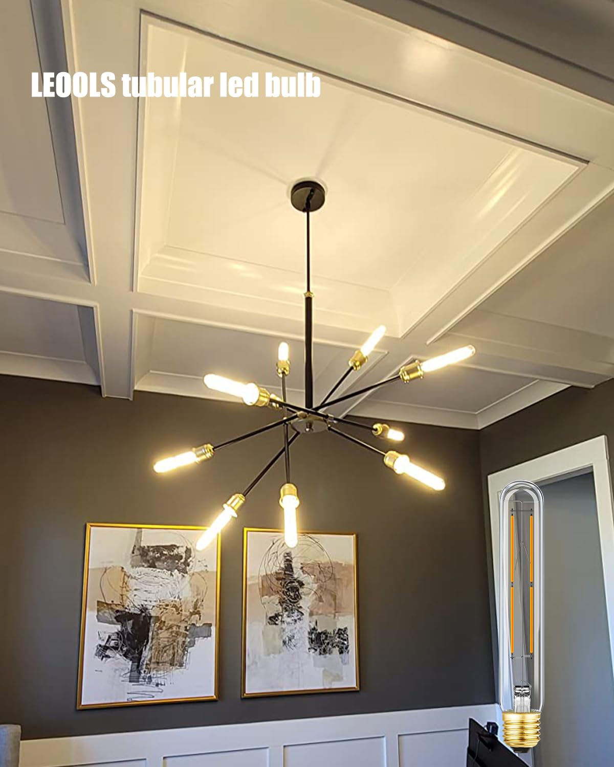 Leools Dimmable E26 Led Bulb 8W Equal 75 Watt Light Bulbs E26 Edison Bulb 2700K Warm White Ac120V 800Lm Tubular T9 T10 Led Bulb