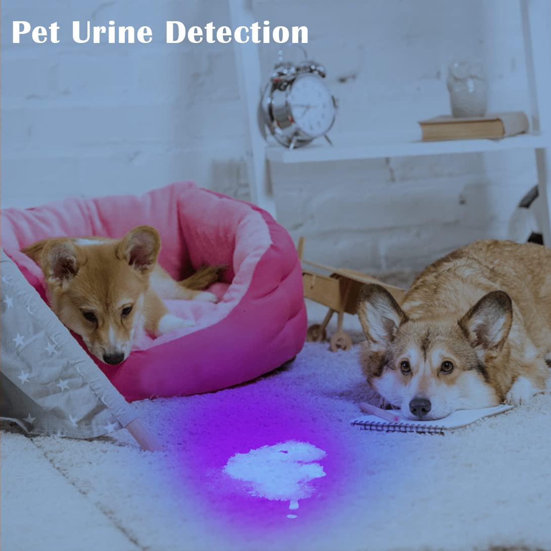 Waklyte Uv Flashlight - 21 Led Black Light, Portable Mini For Pet Urine, Scorpion & Bed Bugs