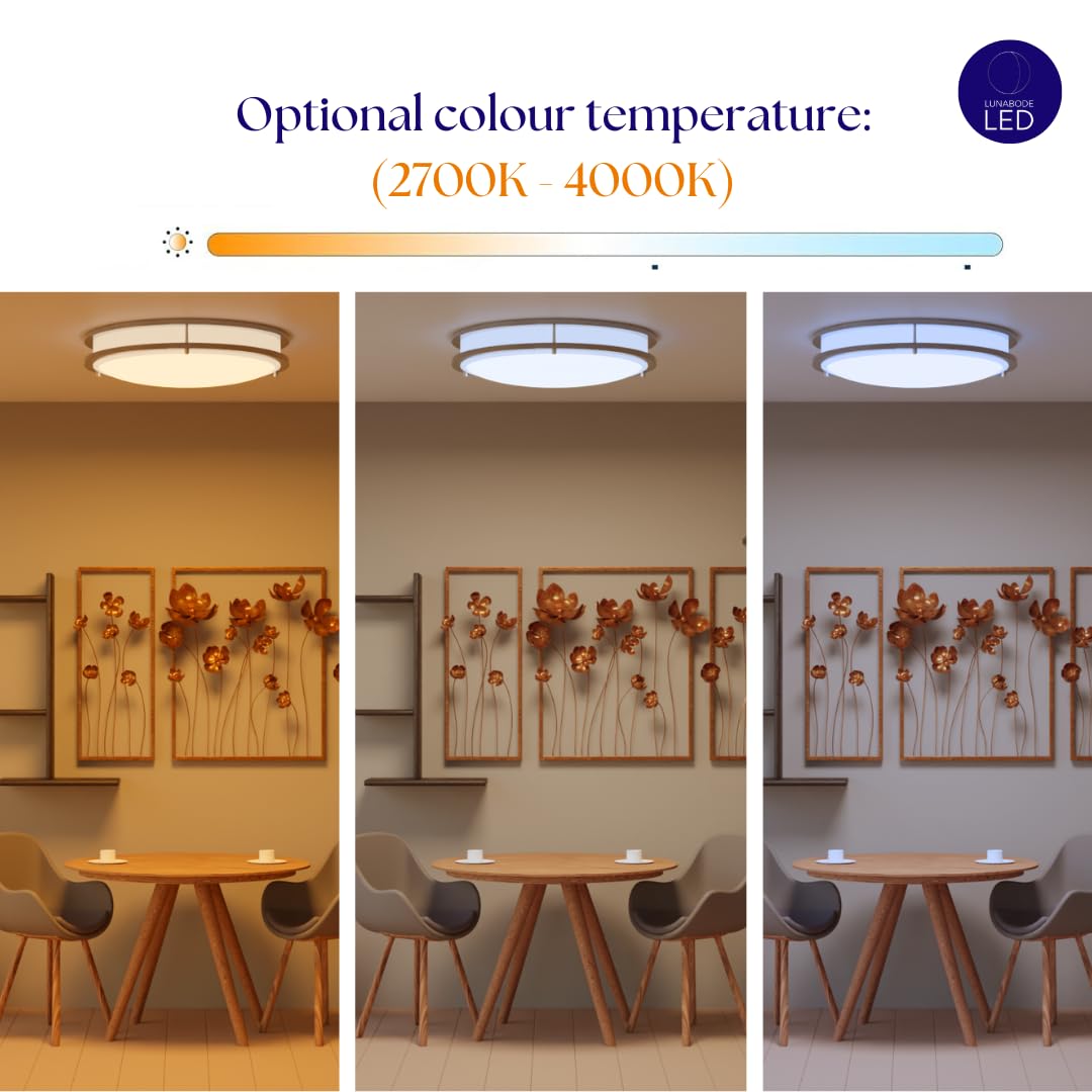 Lunabode Led Ceiling Light Fixture, 12 Brushed Nickel, 20W (95W Eq), 1400Lm, 4000K Natural White, Model Gs-Drcl