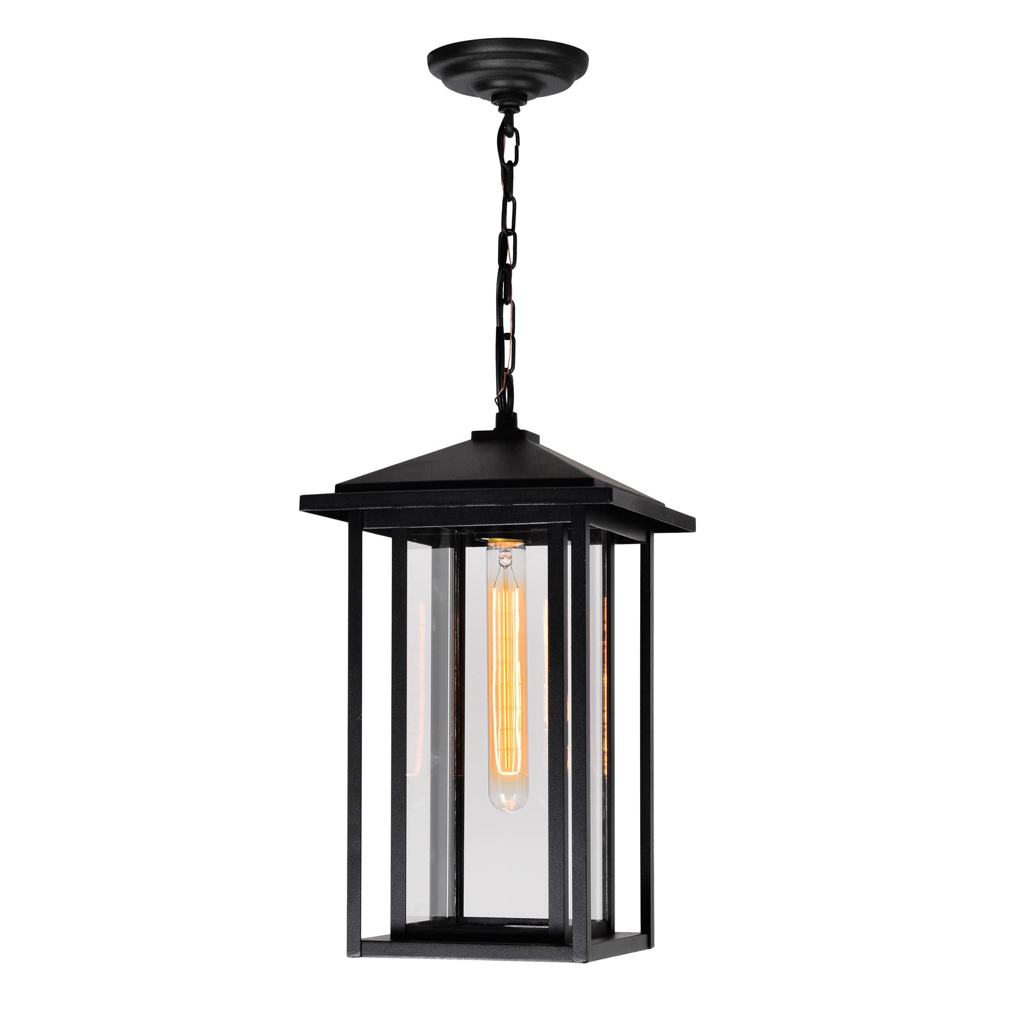 CWI Lighting Crawford 1 Light Farmhouse Metal Outdoor Hanging Light in Black