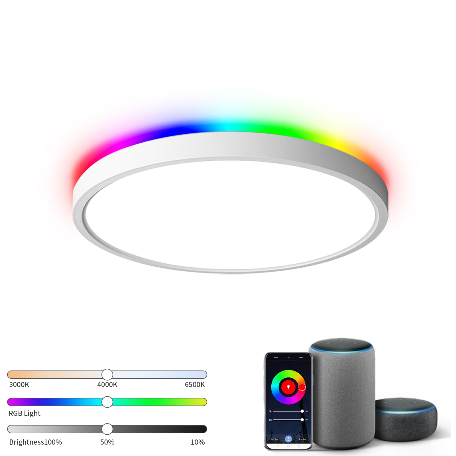 TALOYA Smart Ceiling Light Fixture 10 Inch Flush Mount Led with RGB Night Light, Compatible with Alexa Google Assistant, 2.4G Wi