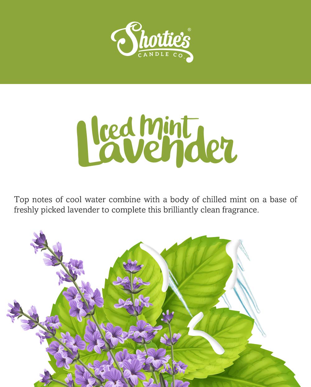 Iced Mint Lavender Premium Tealight Candles - Highly Scented With Essential & Natural Oils - 6 Mint Tea Lights - Beautiful Candlelight - Made In The Usa - Fresh & Clean Collection