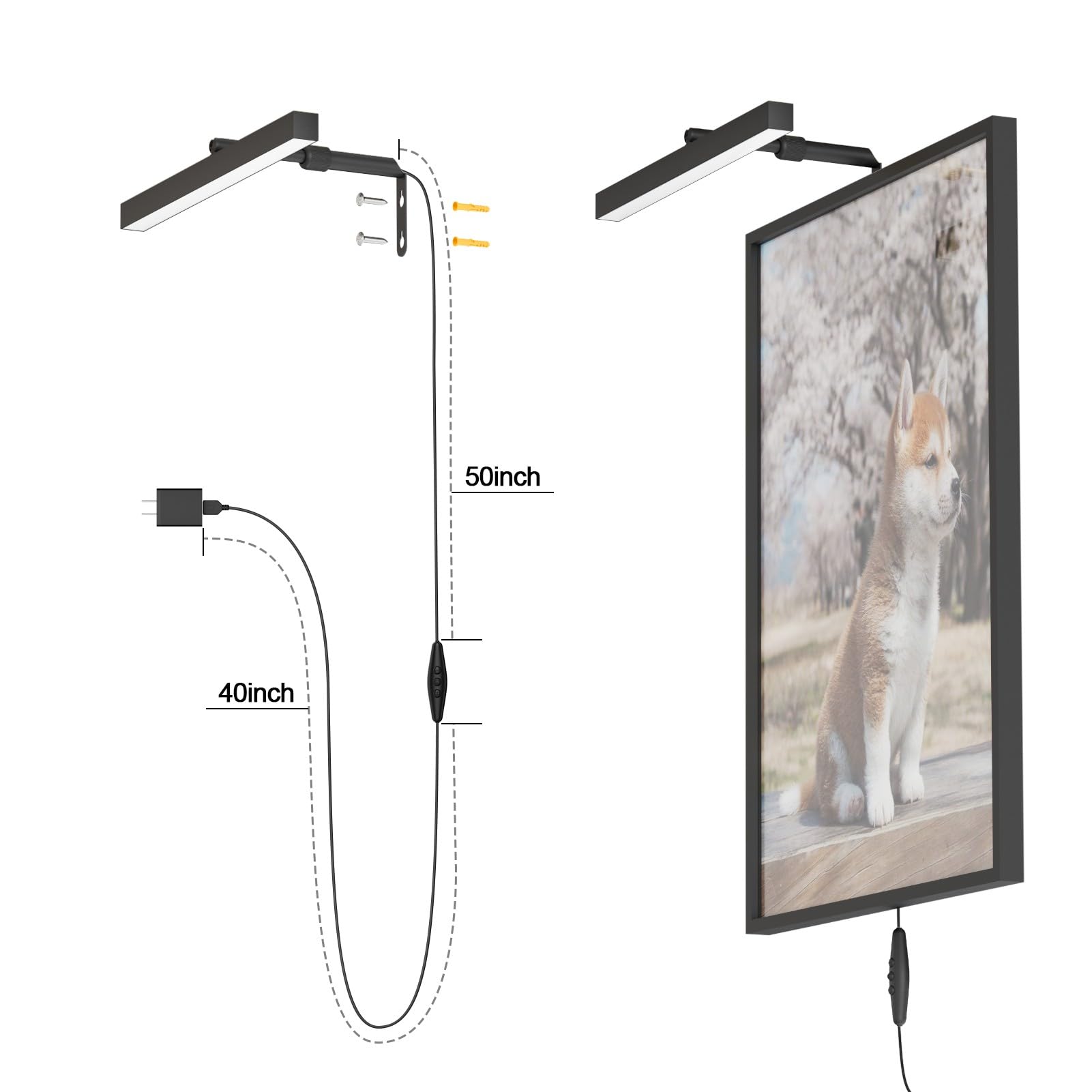 Coinmit 12" LED Plug-in Picture Light, Black Metal Wall Mounted Art Display with Remote Control, Model 9953