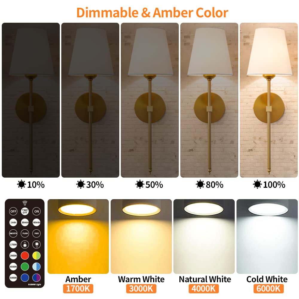 BLUEYE E12 Rechargeable Light Bulb - 2 Packs, 300LM, 40W Equivalent, Remote Control, 4 Color Temperatures, White, Model LB23401