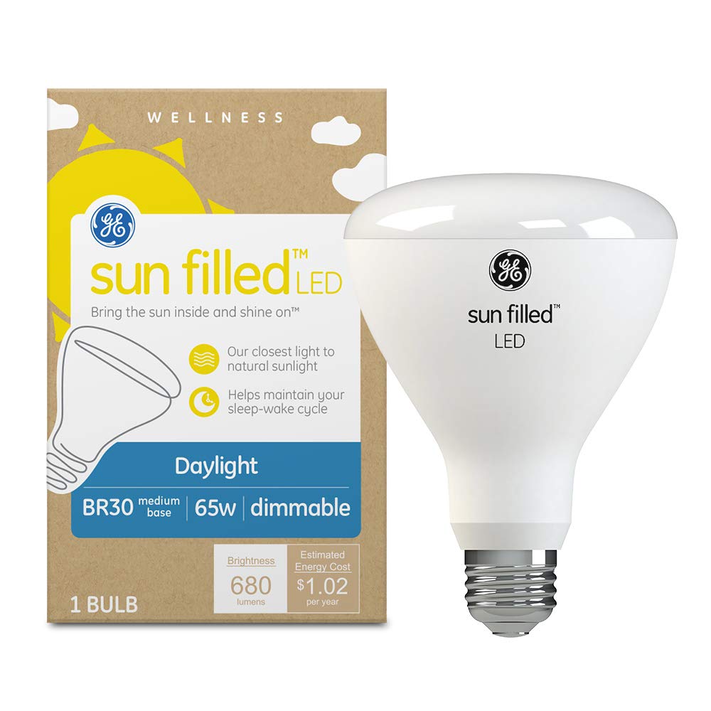 GE Sun Filled LED Light Bulb, 65W Indoor Floodlight, 1 Count, Daylight, Plastic