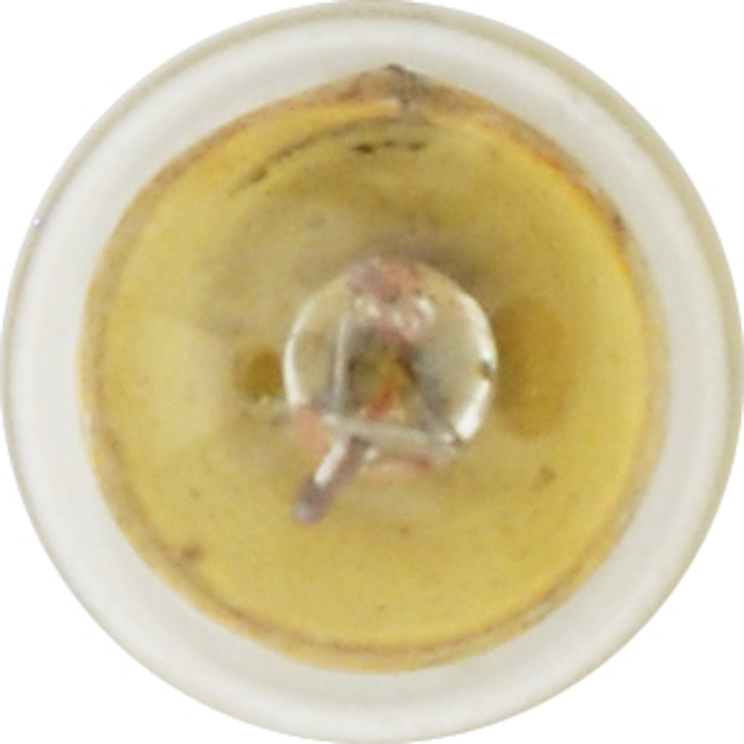 SYLVANIA 1445 Miniature Bulb - 10 Pack, Copper Material, Basic Design