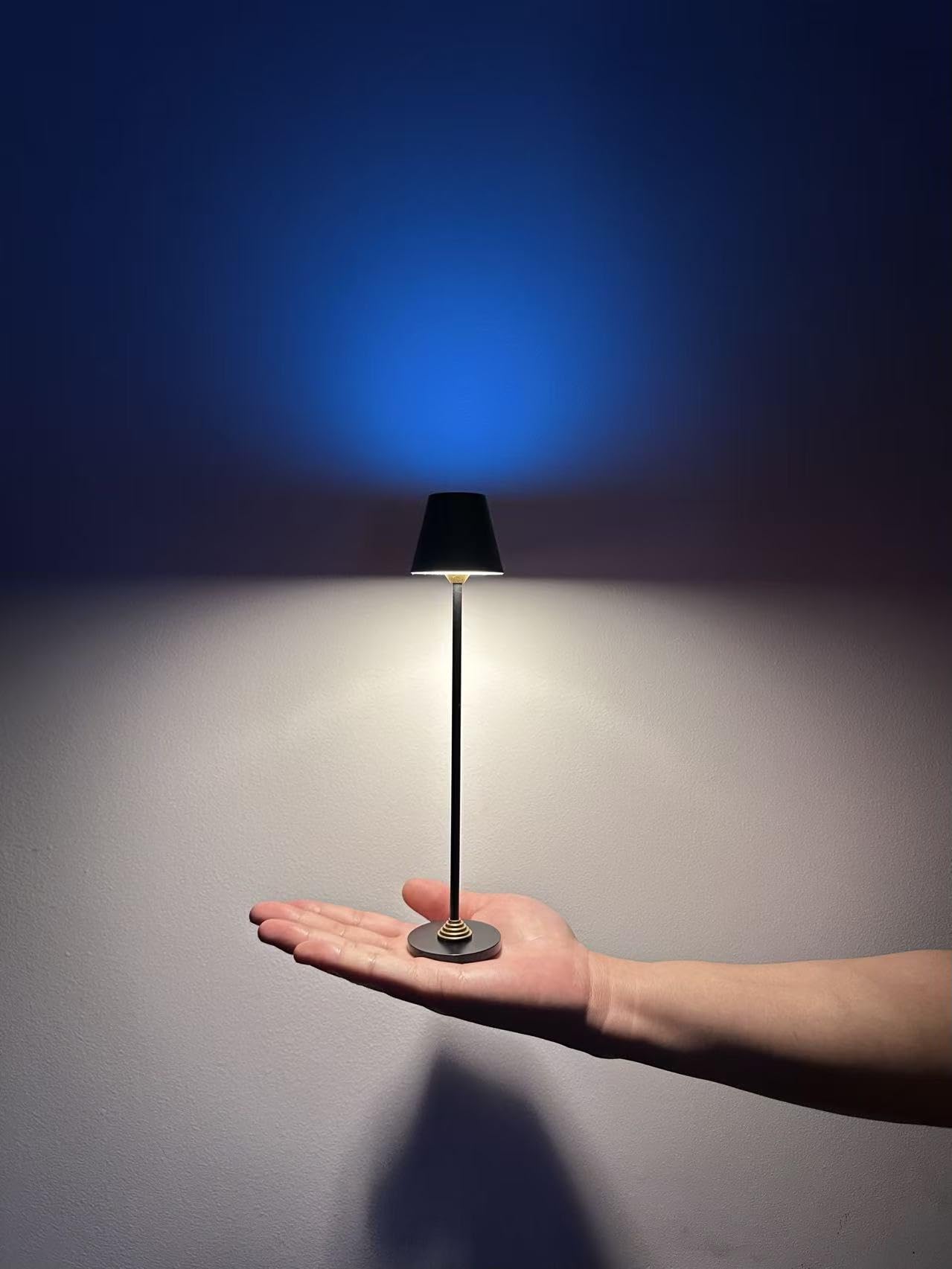 Timjorman RGB Palm-Sized Cordless Table Lamp  Rechargeable Touch Metal Bedside Lamp  3 Brightness 3000K Warm Light  Small Table Lamp for Bedroom  Restaurant  Patio  Camping (Antique Brass&Black 1PACK)