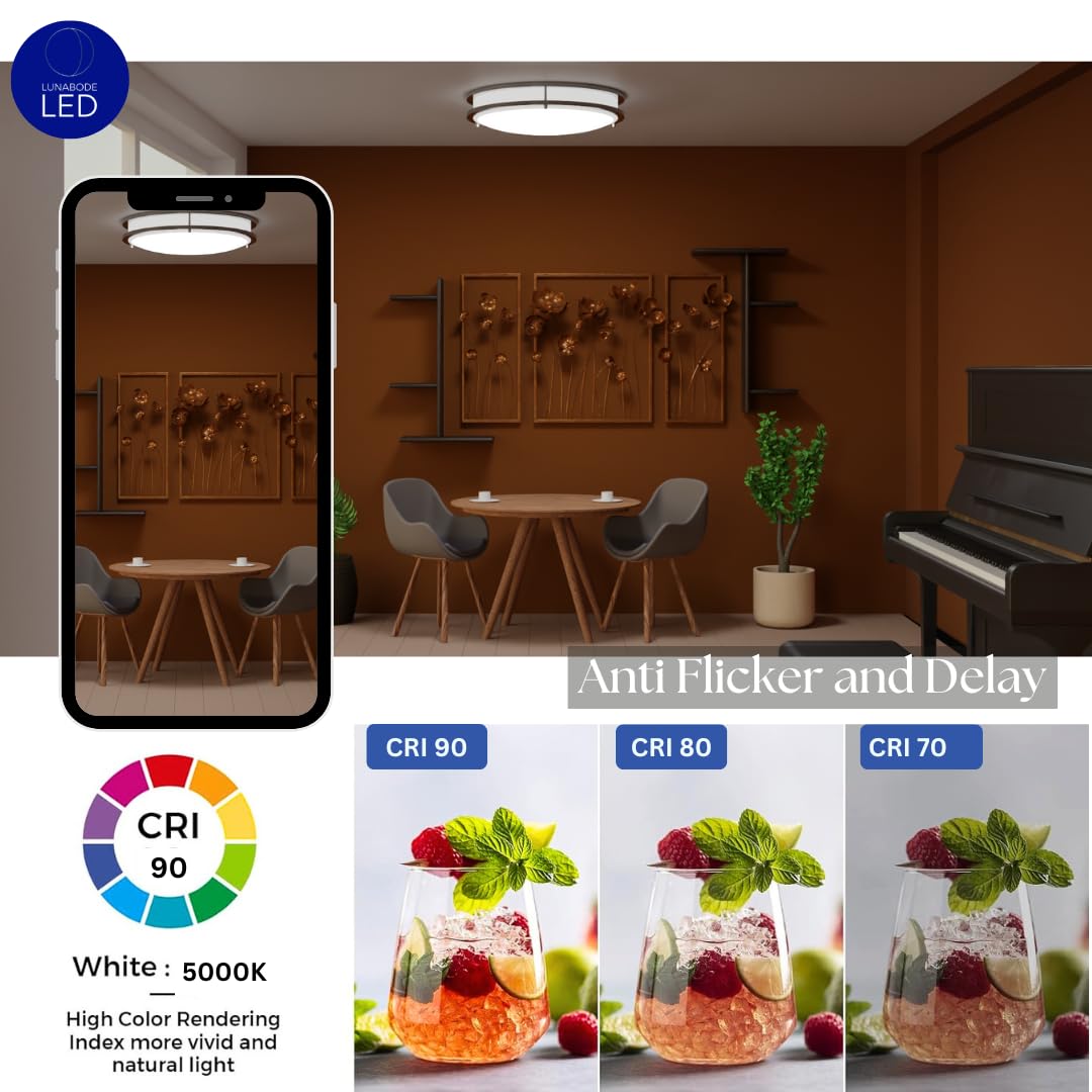 Lunabode Led Flush Mount Ceiling Light, 22W (100W Eq), 1800Lm, 14 Warm White, Brushed Nickel, Model Gs-Drcl14-182