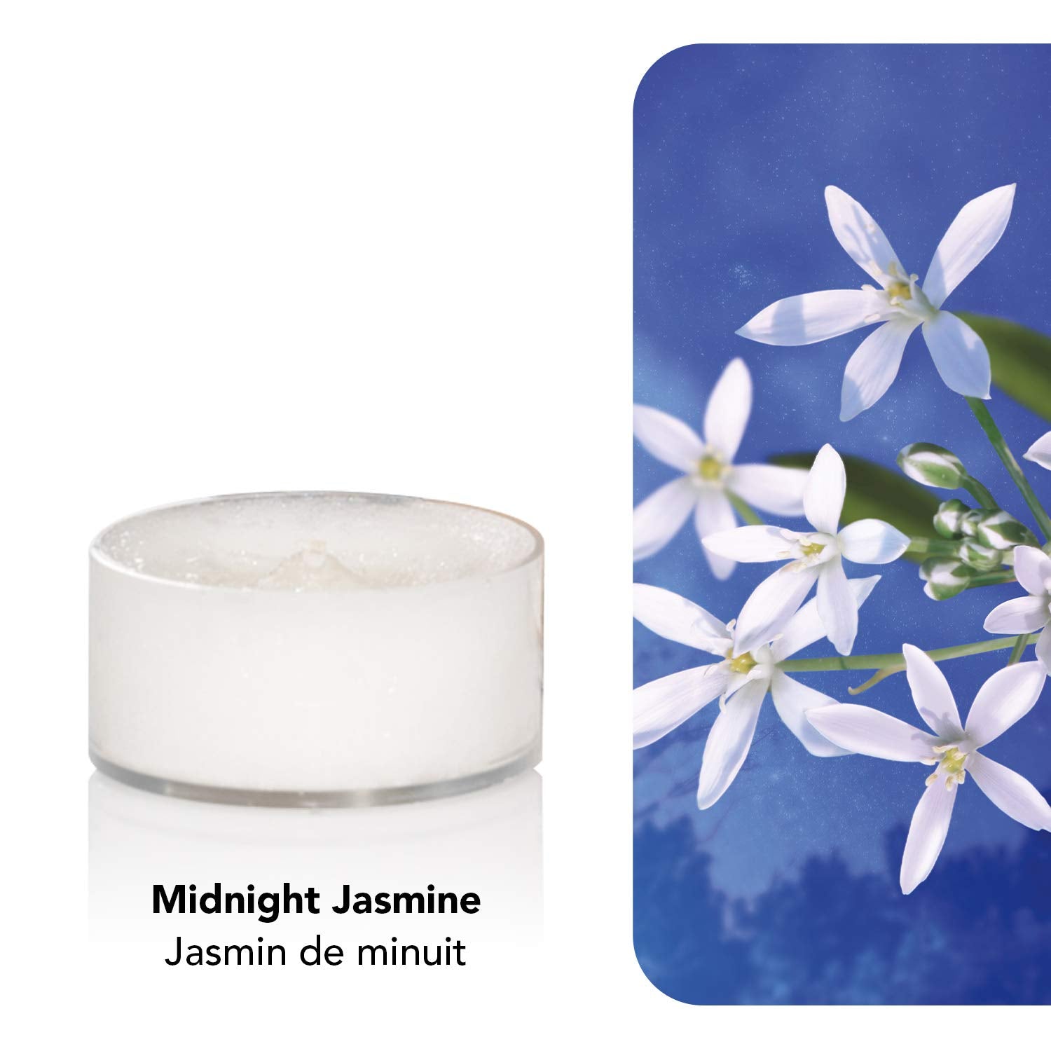 Yankee Midnight Jasmine Tea Light Candle (8.31 cm x 8.31 cm x 5.99, White, Set of 12)