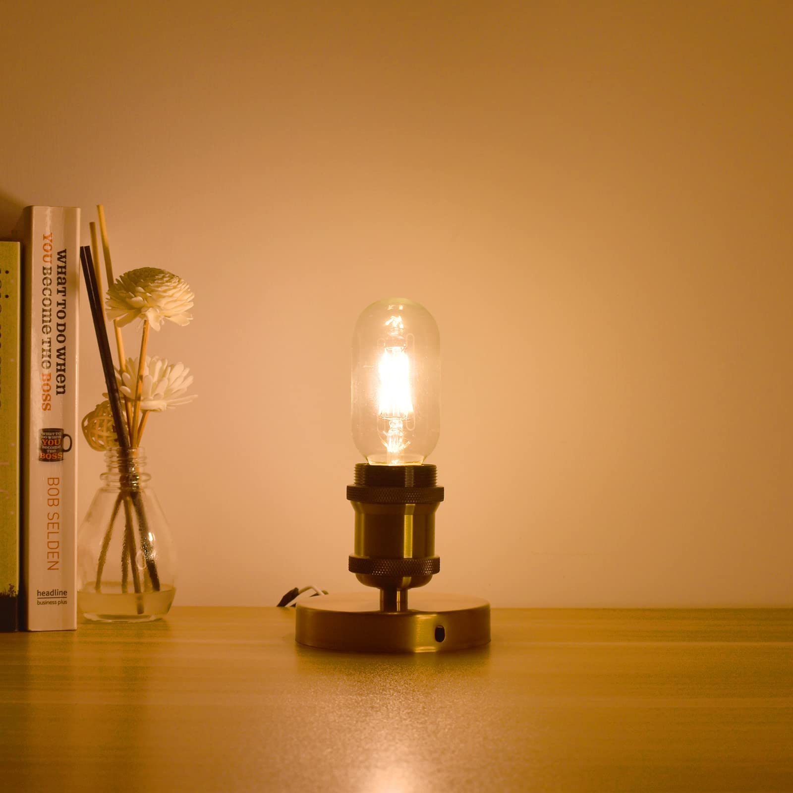 AIELIT 2W Dimmable LED Bulb, 25W Equivalent Vintage Edison, Warm White 2700K, E26 Base, 4 Pack Tubular Light Bulbs