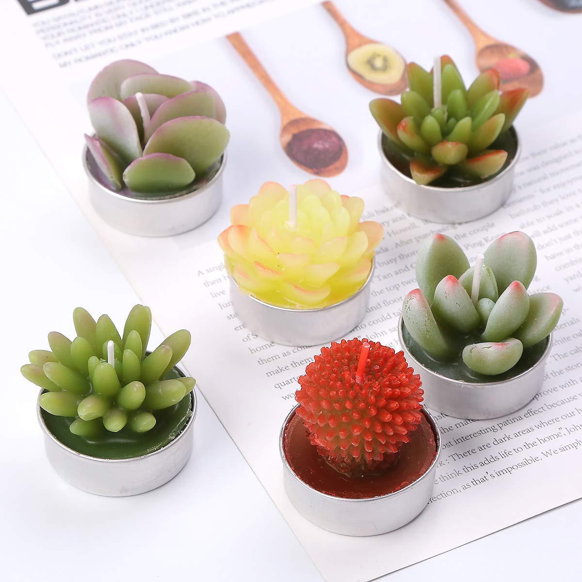 Wangmingtu Succulent Cactus Tea Light Candles Unscented 6Pcs Assorted For Birthday Party Favors Wedding Decor Gift Sets