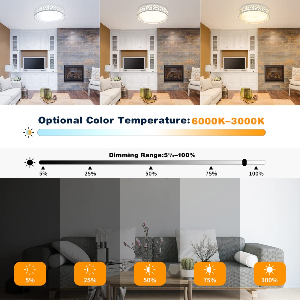 DINGLILIGHTING DLLT 35W Modern Dimmable Ceiling Light, 18.5in LED Flush Mount, Remote Control, Color Changeable, White, Model WS-FPC21