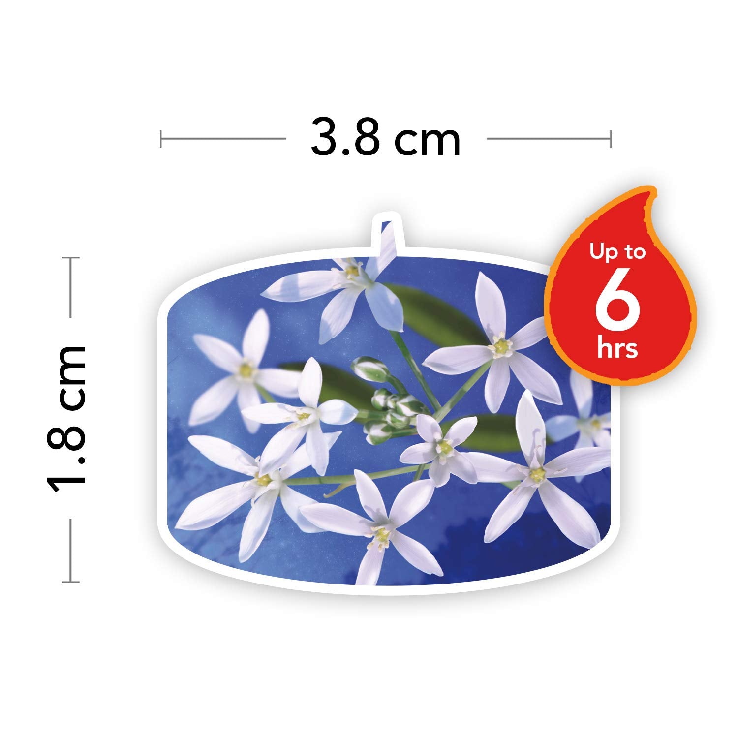 Yankee Midnight Jasmine Tea Light Candle (8.31 cm x 8.31 cm x 5.99, White, Set of 12)