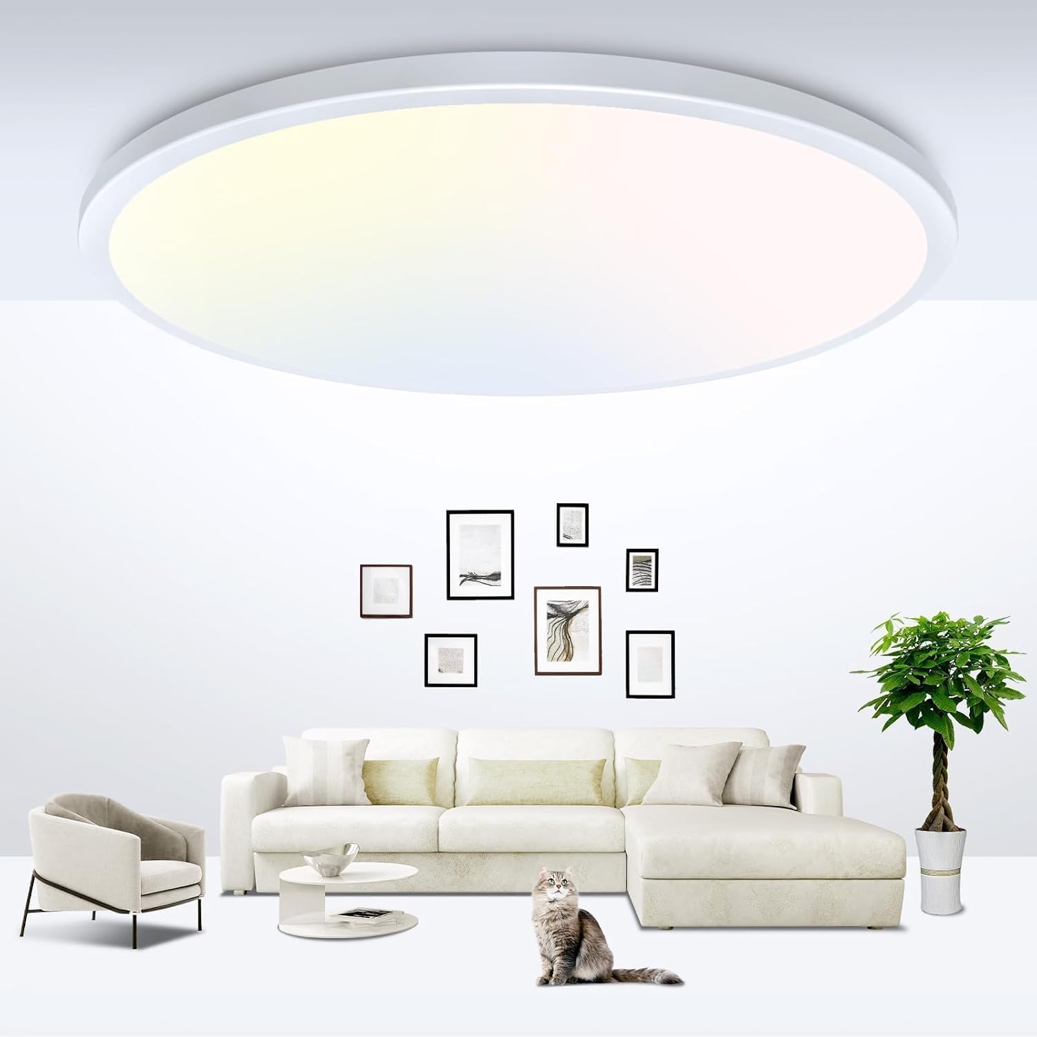 zemty 23 Inch LED Flush Mount Ceiling Light, 56W, 5040lm, 3 Color Temperatures, White, Model CLS59A-WT