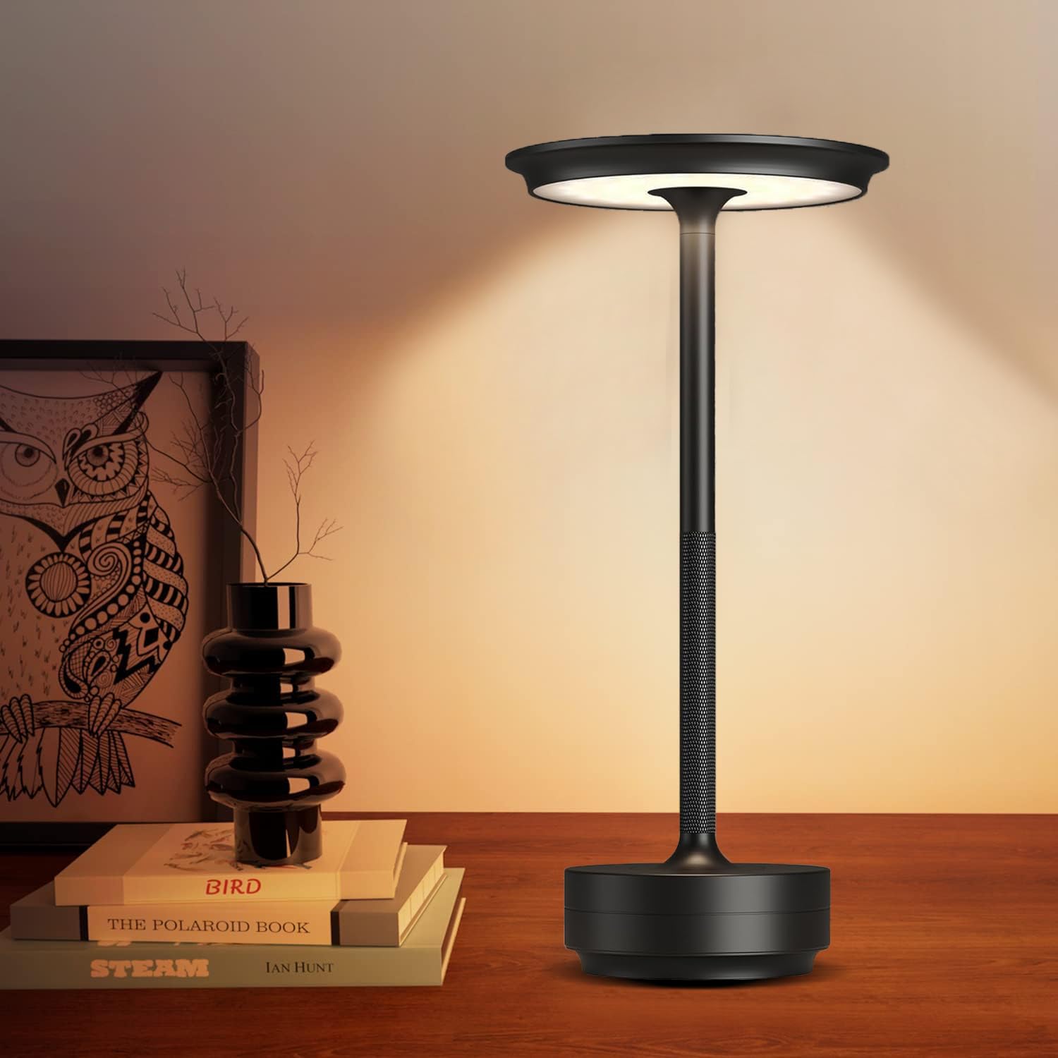 SJIE Cordless Table Lamp, Rechargeable 5200mAh, 3 Modes Dimming, D5inxH11in, Aluminum, Black, Model JB-TD064