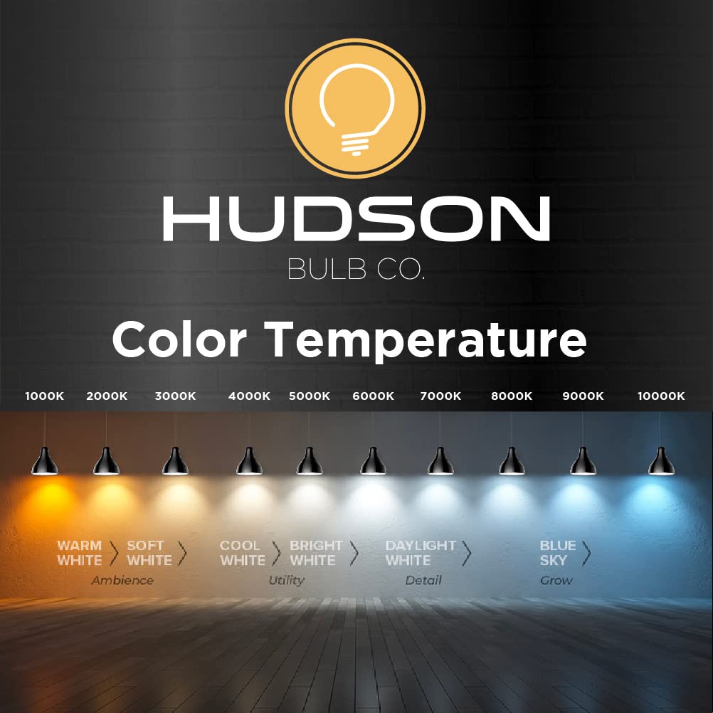 HUDSON BULB CO. 4 Pack Vintage 60W Edison Light Bulbs - 2100K Dimmable Warm Light, Clear Glass, E26/E27 Base, Antique Spiral Filament