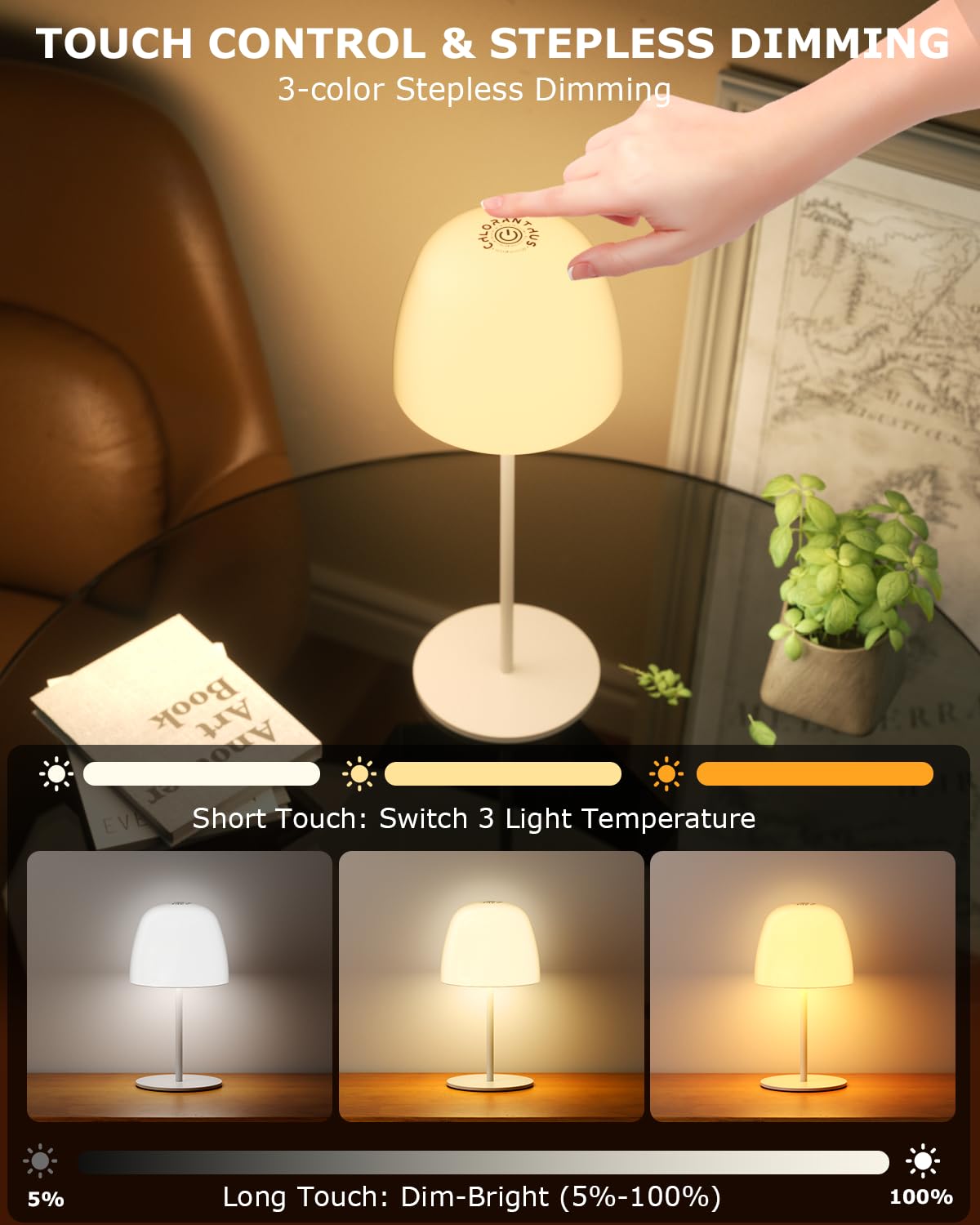 Chloranthus 2 Pack Portable Cordless Table Lamp, 3 Color Stepless Dimming 5500Mah Rechargeable Battery Operated Led Desk Lamp, F