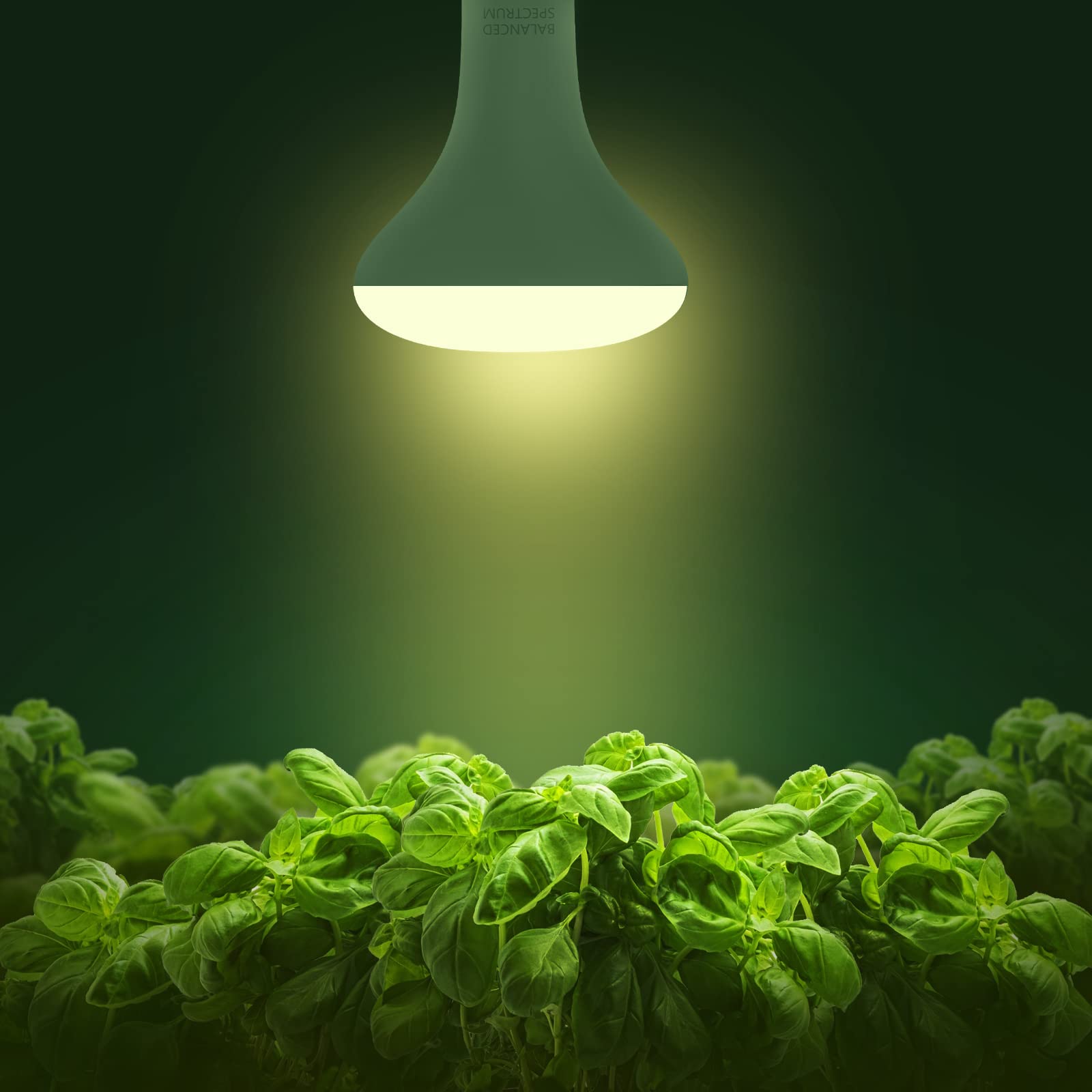 Briignite LED Grow Light Bulb, Full Spectrum 12W, E26 Base, BR30 for Indoor Plants, Seedlings & Hydroponics