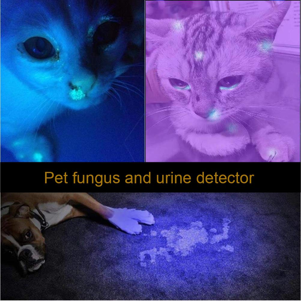 ALONEFIRE SV003 10W UV Flashlight, Rechargeable Blacklight for Pet Urine Detection, Scorpion Hunting, Aluminum Case, Black