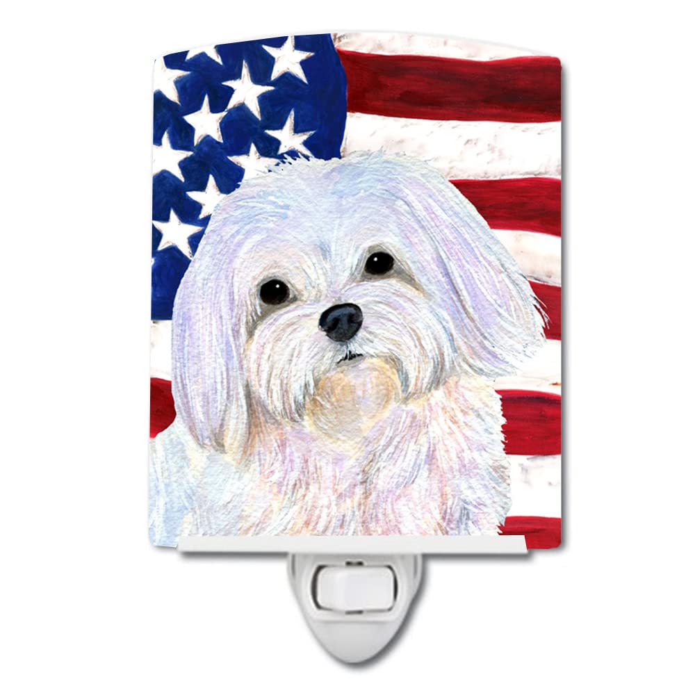Carolines Treasures Ceramic Night Light, USA American Flag, UL-Certified, 6x4x3, Multicolor, Model SS4044CNL