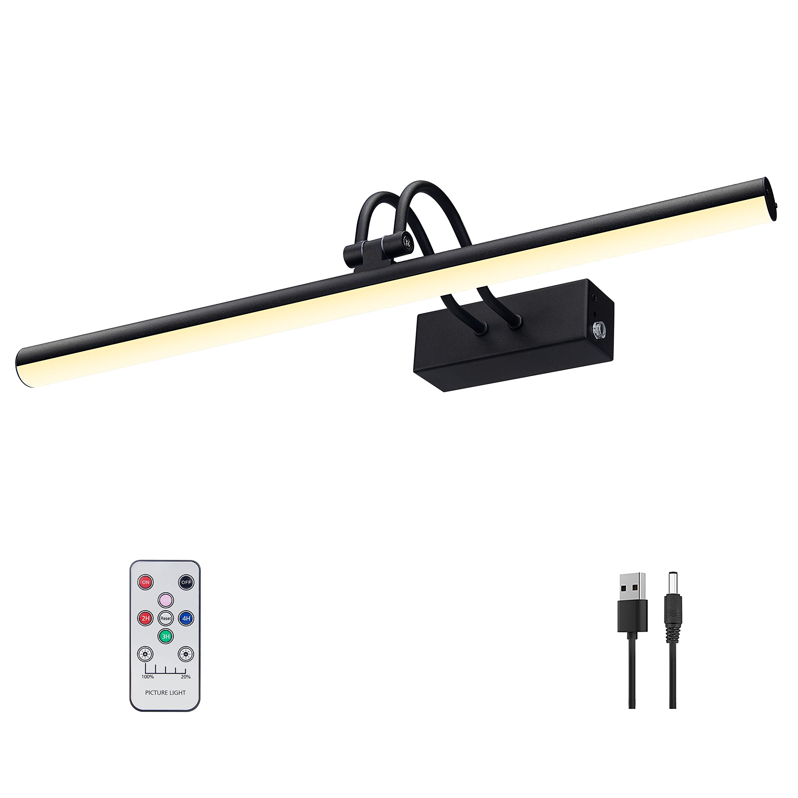 RAIFOOLLY Picture Light, 20in Battery Operated Picture Lights for Paintings,Metal Remote Display Art Light with Timer and Dimmab