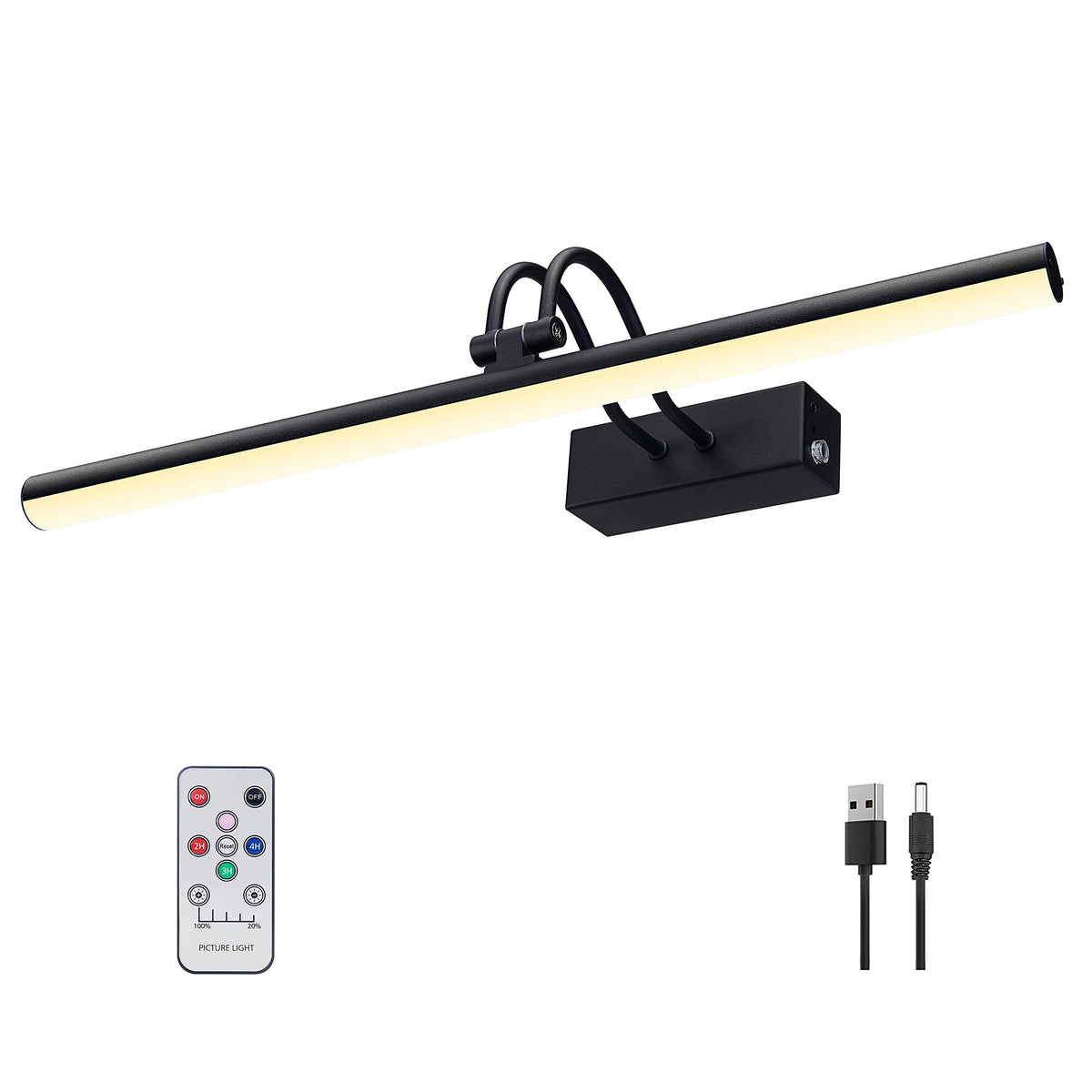 RAIFOOLLY Picture Light, 20in Battery Operated Picture Lights for Paintings,Metal Remote Display Art Light with Timer and Dimmab