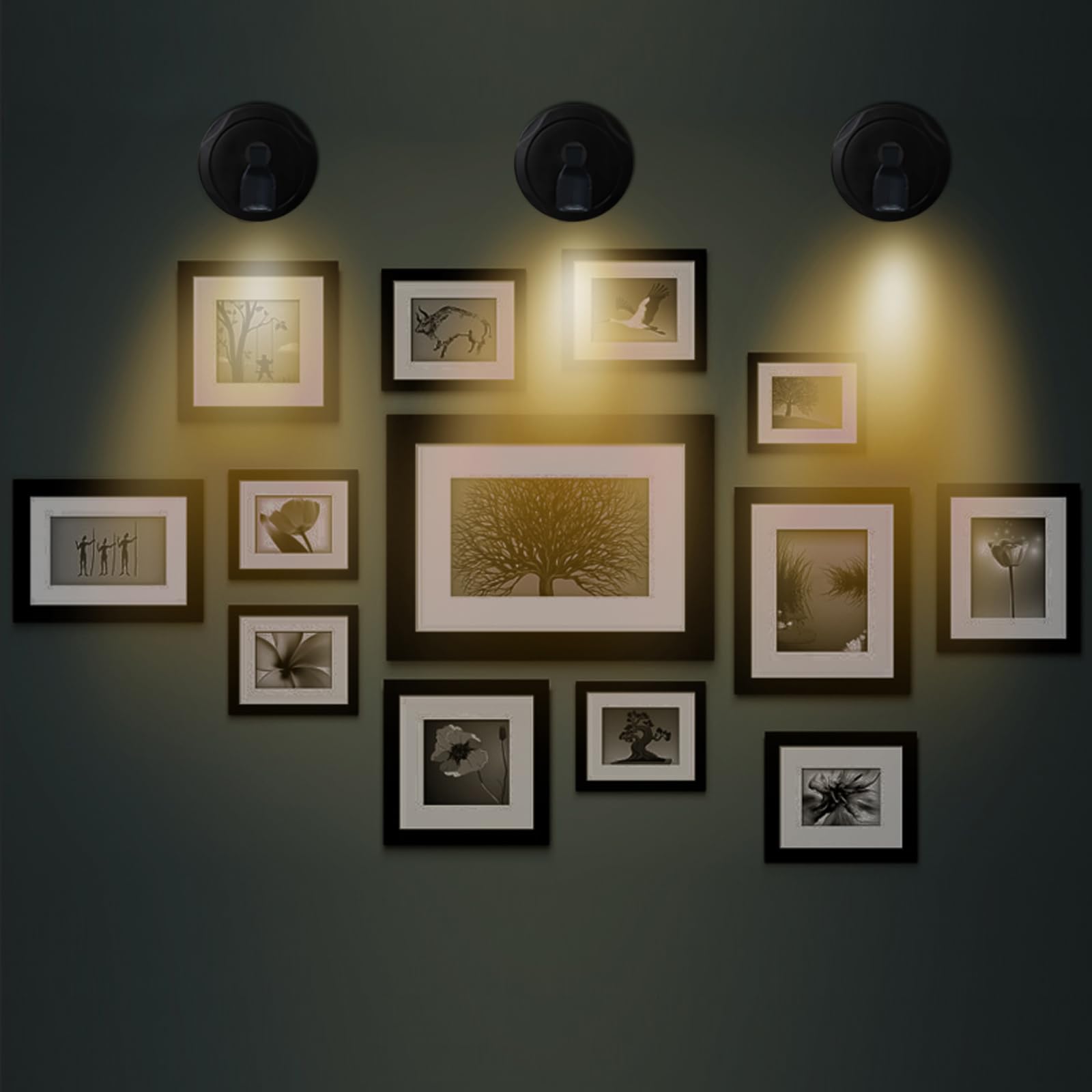 Bergustch Battery Operated Led Spotlight, Picture Spot Lights, Indoor Uplights, Puck Lights With Remote, Plants Spotlight, Wall