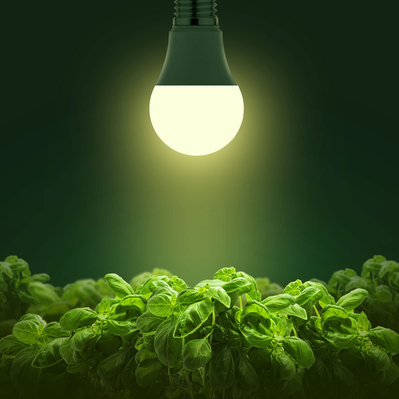 Briignite LED Grow Light Bulb A19, Full Spectrum, 11W (100W Equivalent), E26 Base, 2 Pack, Aluminum, Ideal for Indoor Plants