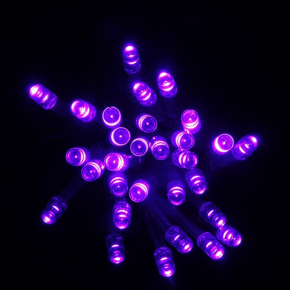 Super Z Outlet 30 Mini Bulb Led Battery Operated Fairy String Lights In Purple For Valentines Day, Romantic Wedding, Home Decoration Room Lighting, Christmas, Crafts (158&quot; Inch Long String)