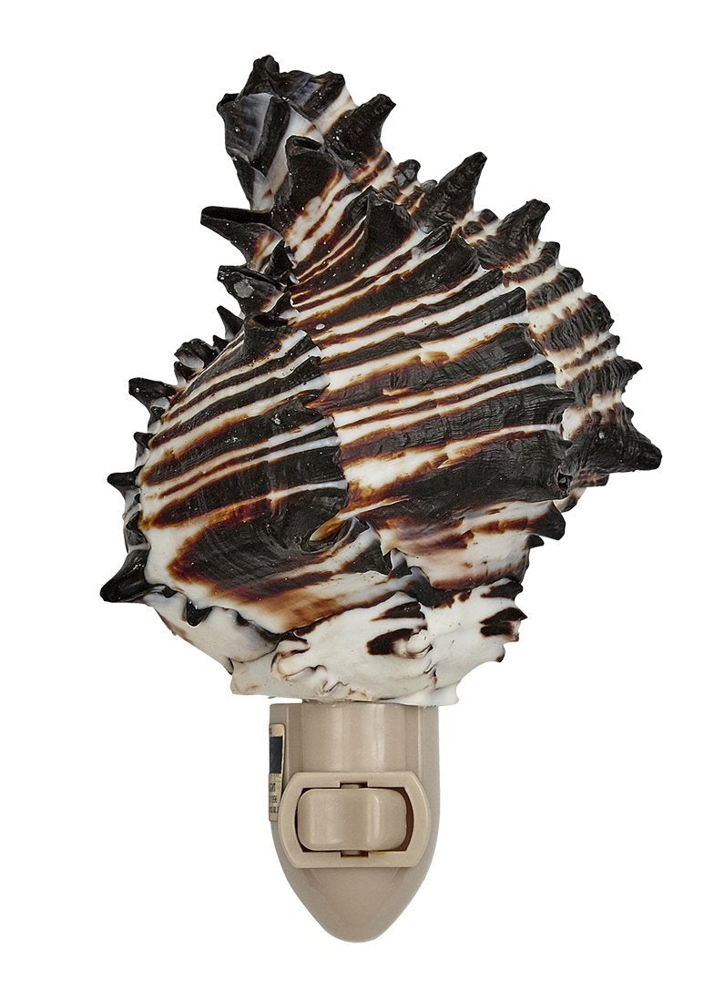 Black Murex Boxed Night Light
