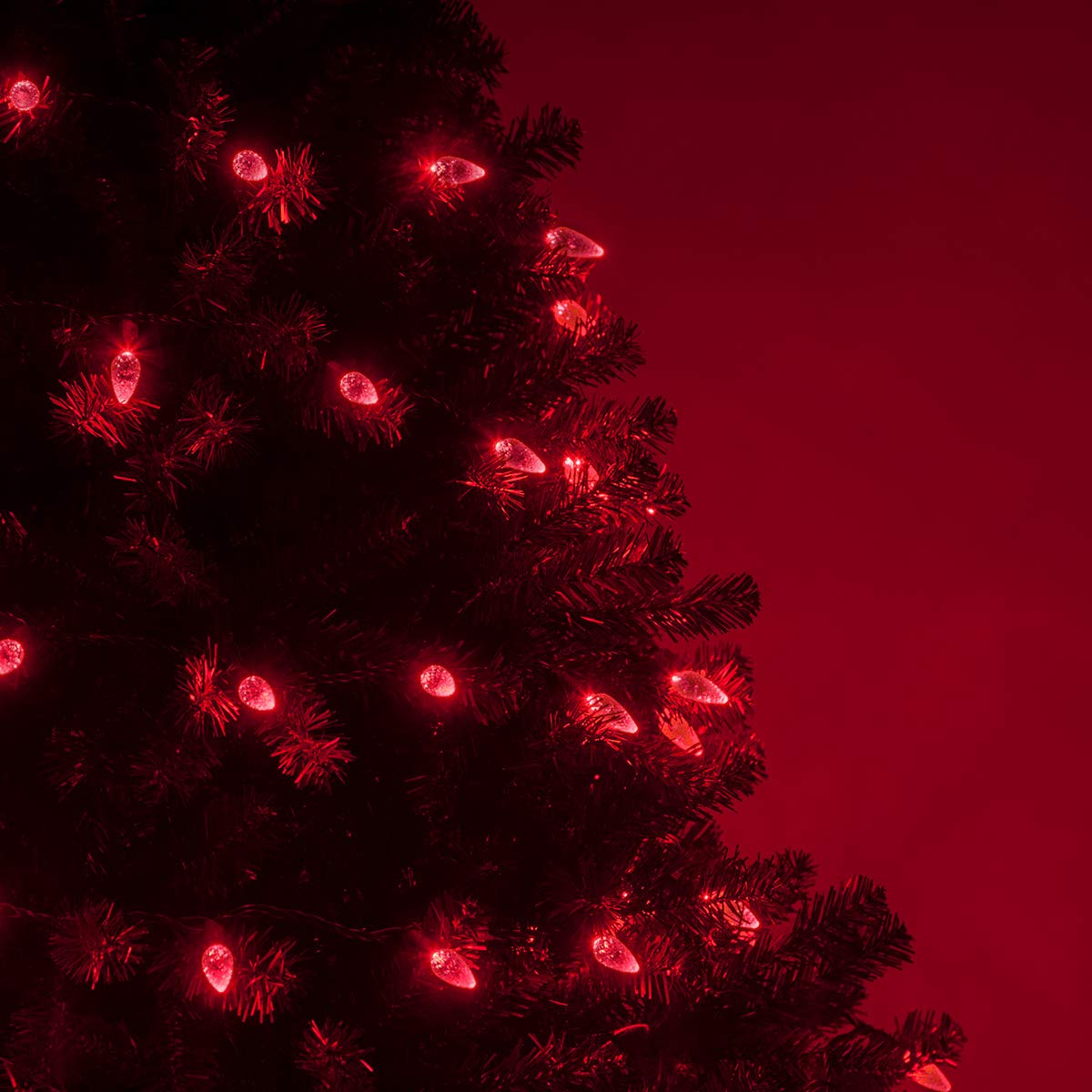 Wintergreen Lighting C6 Red LED String Lights, 24 Ft, Indoor-Outdoor, Acrylic, Model IOS-1-35-2