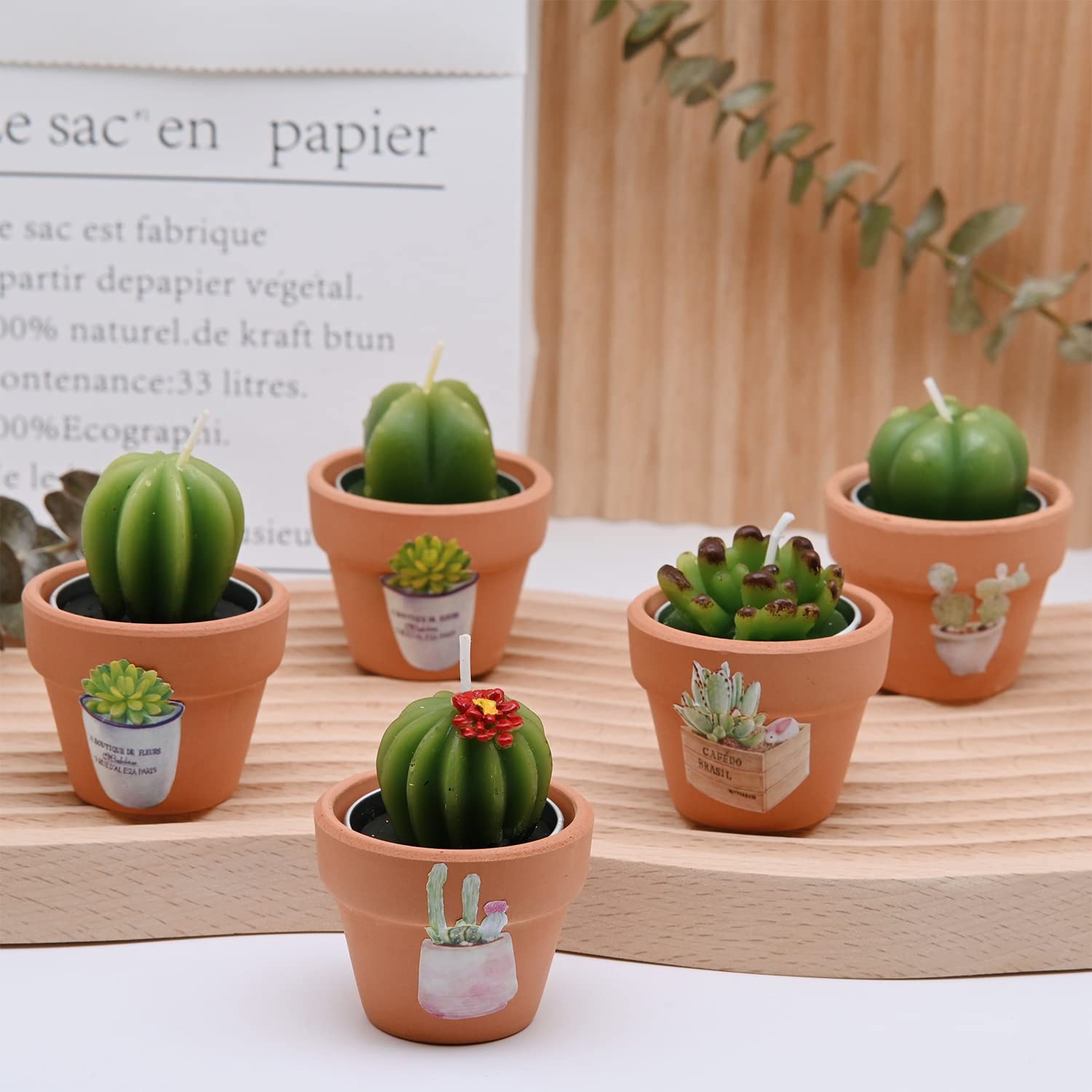 Succulent Candles, Novelty Cactus Tealight Candle Baby Shower Candle Decorations For Party Favors Terrarium Cacti Candels Home Decor…