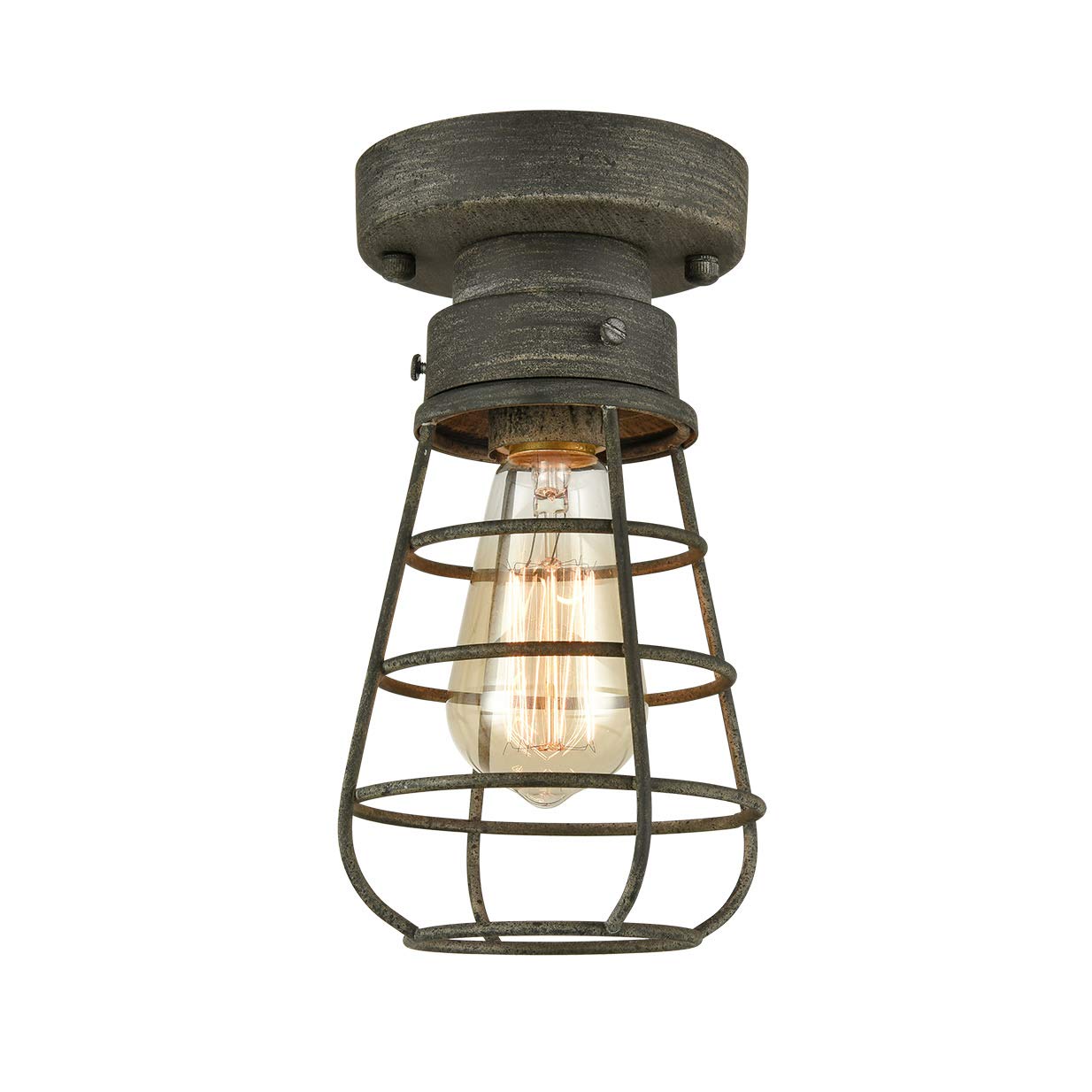 TENGIANTS Farm Rustic Ceiling Light Fixture Small Metal Caged Ceiling Light Mini Close to Ceiling Lamp with Unique Rust Finish