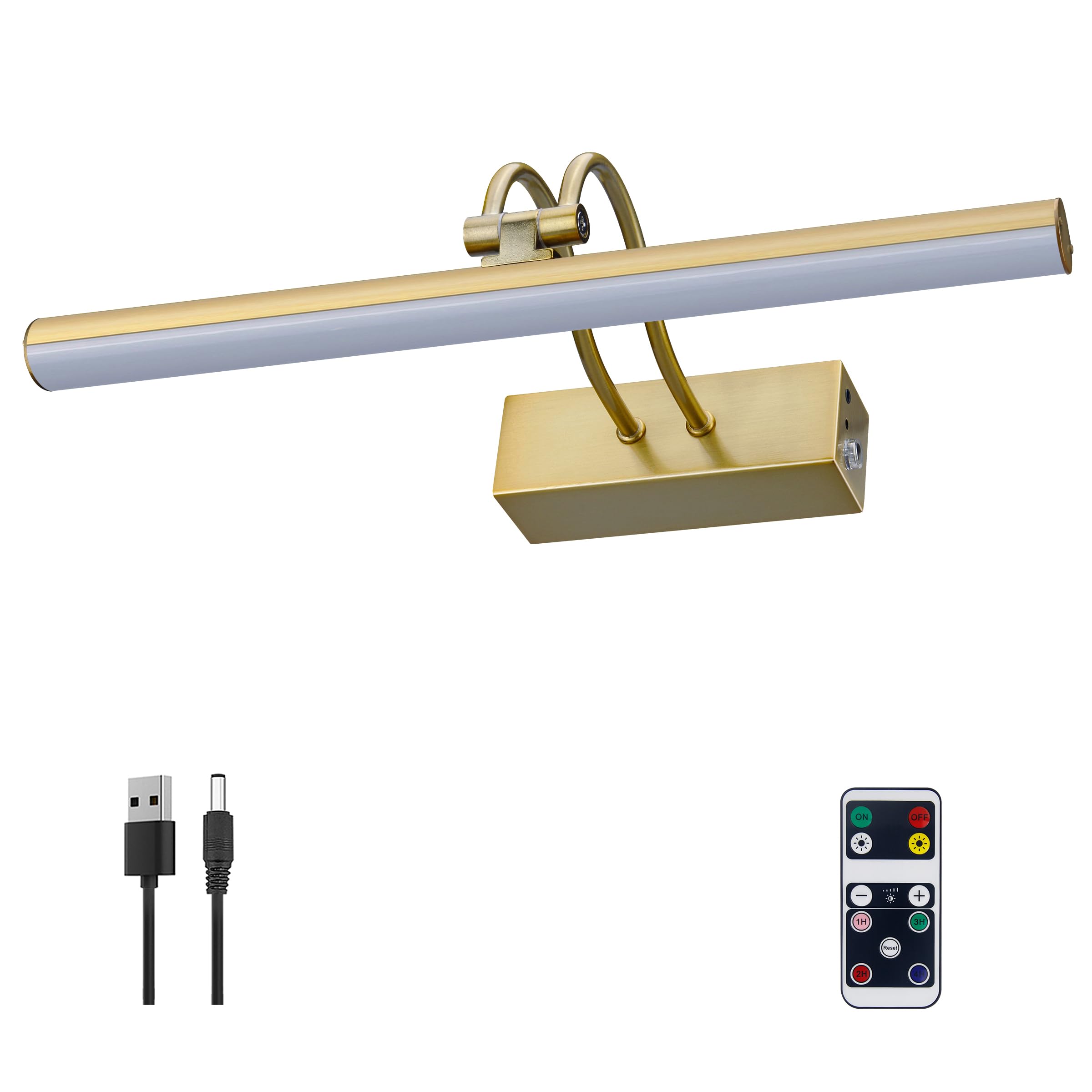 RAIFOOLLY Picture Lights for Wall,Battery Painting Light with Remote Dimmable and Timer, 2 Lighting Modes Art Display Light, Wal