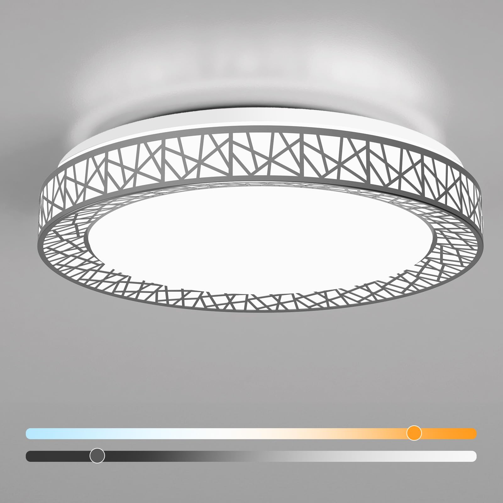 Lightania 20 Inch Flush Mount Ceiling Light, Modern Brushed Nickel LED Ceiling Light Fixture, 42W 4000LM 2700-6500K Adjustable, 