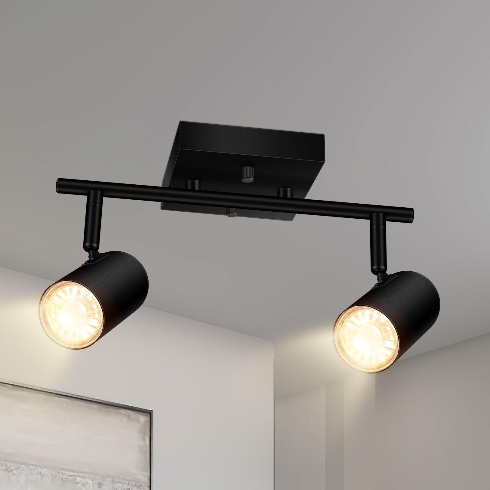 BoostArea 2-Light Track Lighting Kit, LED, GU10 Socket, Flexibly Rotatable, Black, Model C0521