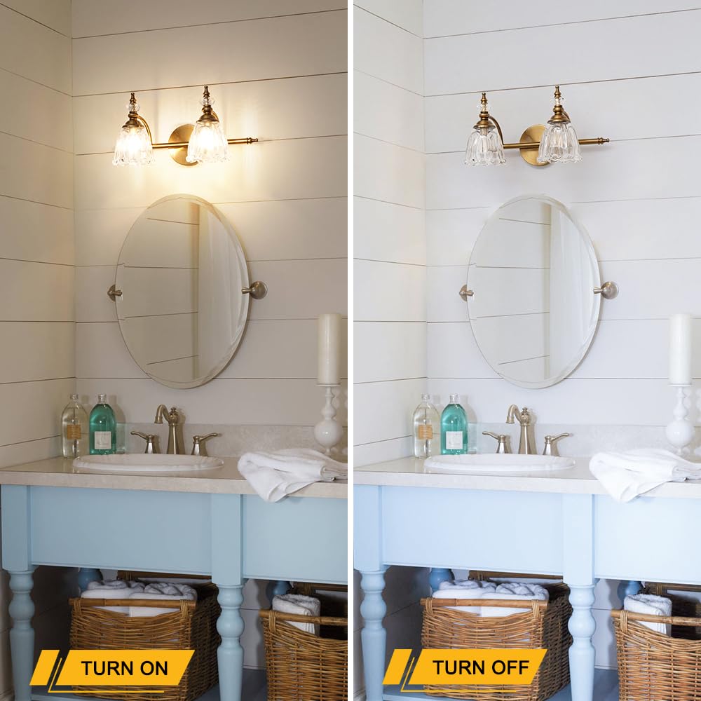 Ditoon Brass Vanity Light - 2 Light Farmhouse Wall Sconce, Brushed Gold Finish, Flower Glass Shade, Model DX230004V