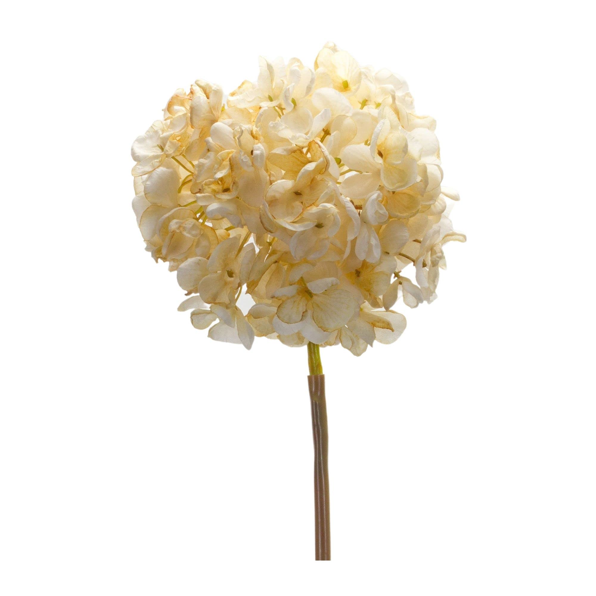 Melrose Set of 6 Polyester Hydrangea Stem with Cream Finish 85808DS