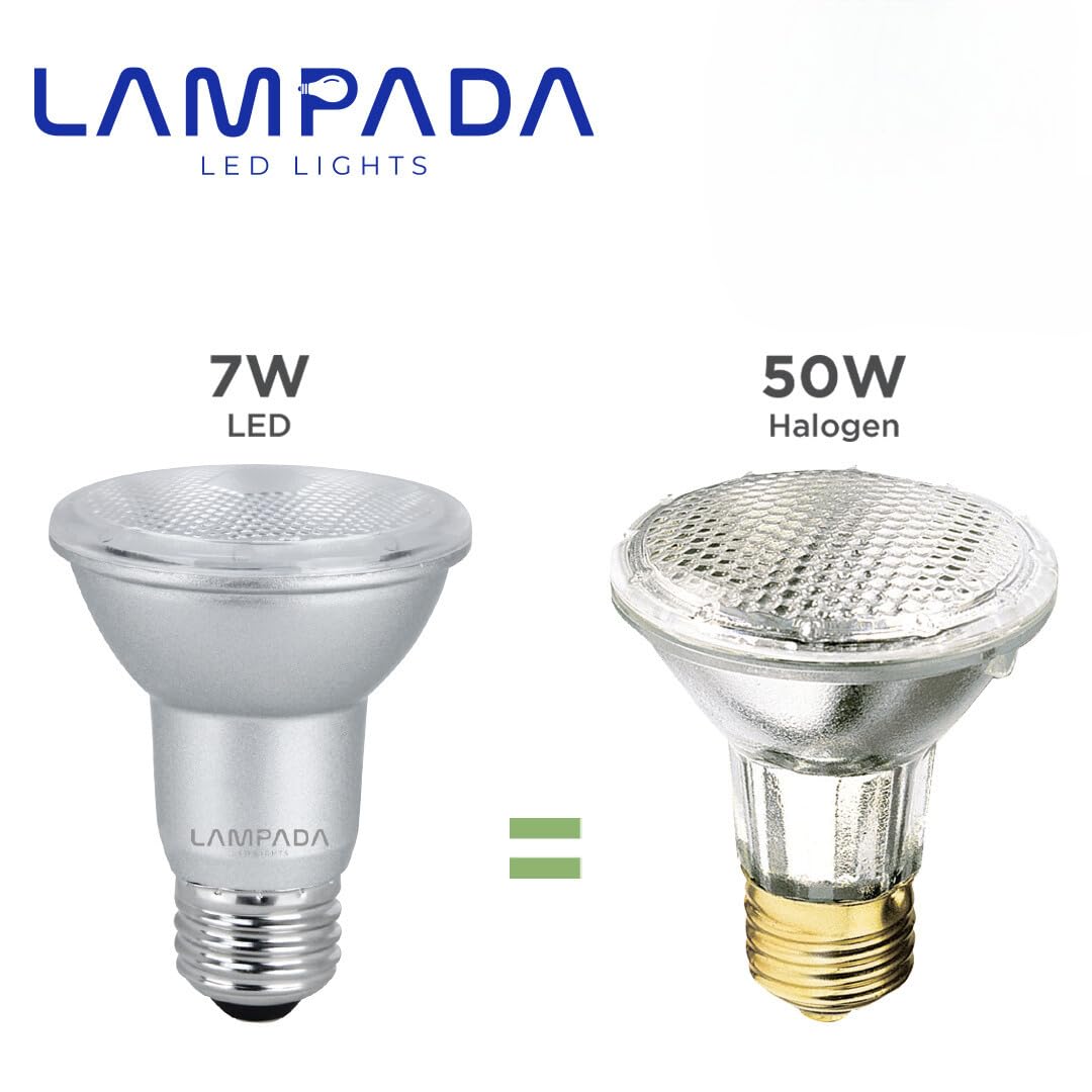 Lampada Par20 Led Dimmable Flood Light Bulb, 500 Lumens, 5000K Bright White, Pack Of