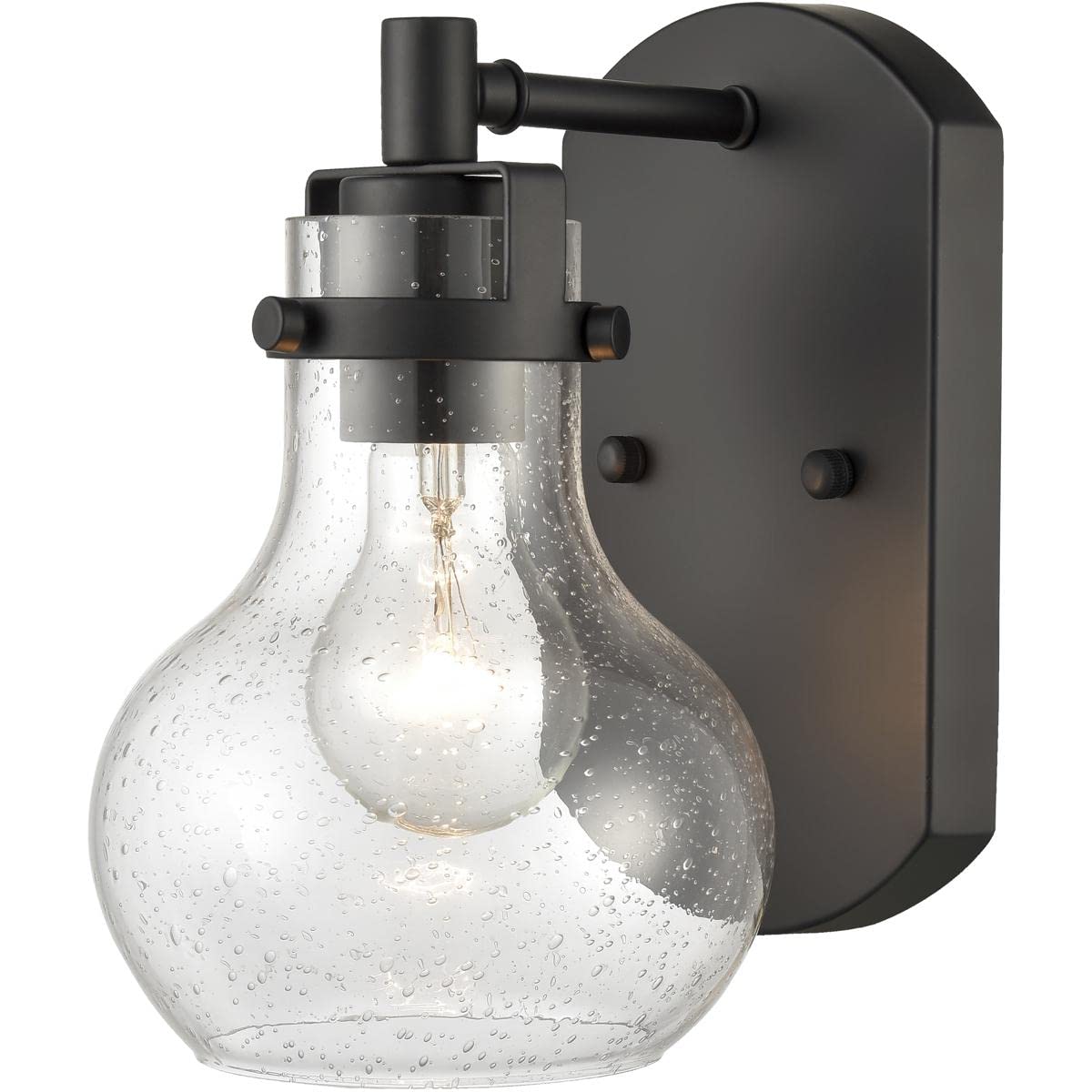 Elk Home Salamanca 1-Light Vanity Light, Matte Black With Clear Seeded Glass, Transitional Style